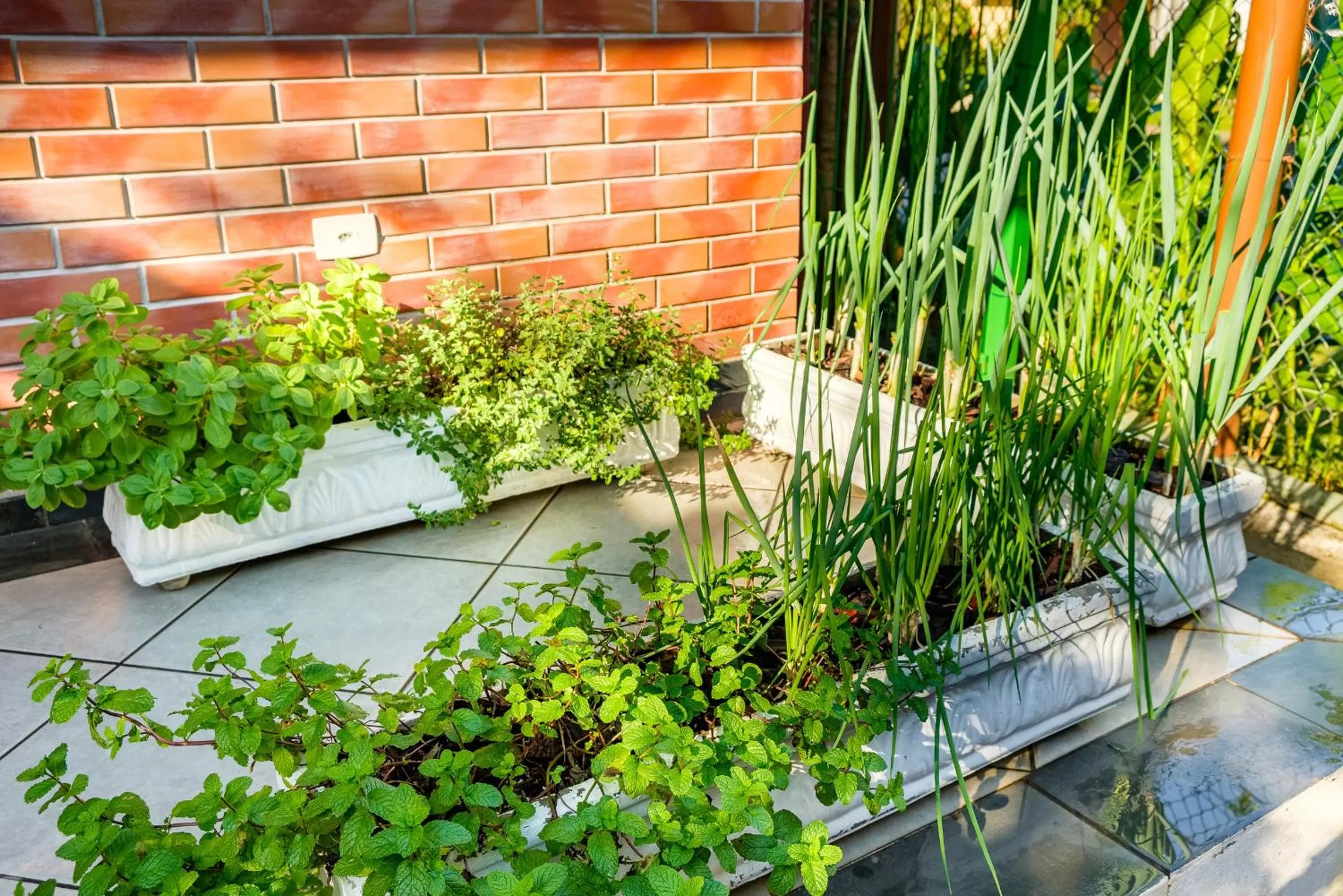 Property building in Pousada Vivamar