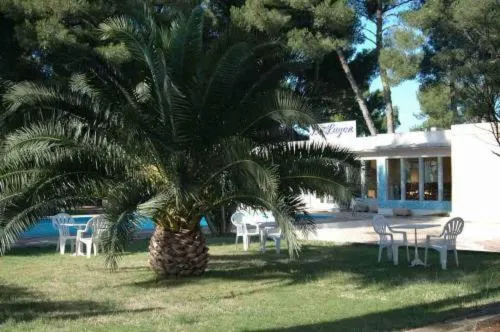 Garden in Cit'Hotel Le Mirage