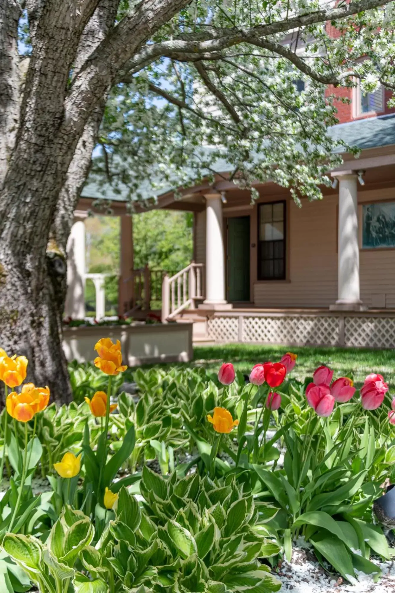 Garden, Property Building in The Wentworth