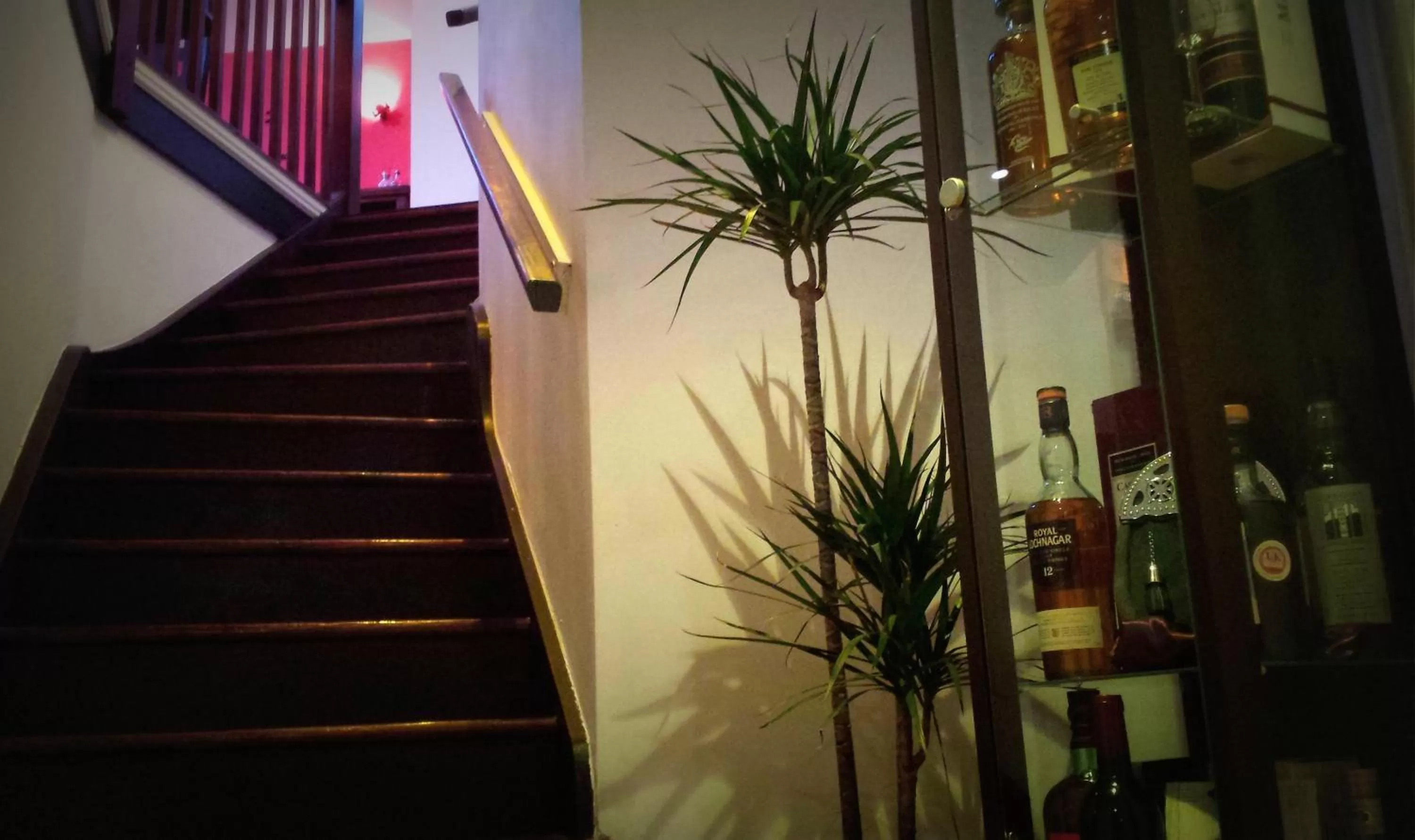 Restaurant/places to eat in Robin 7 Lodge City Centre