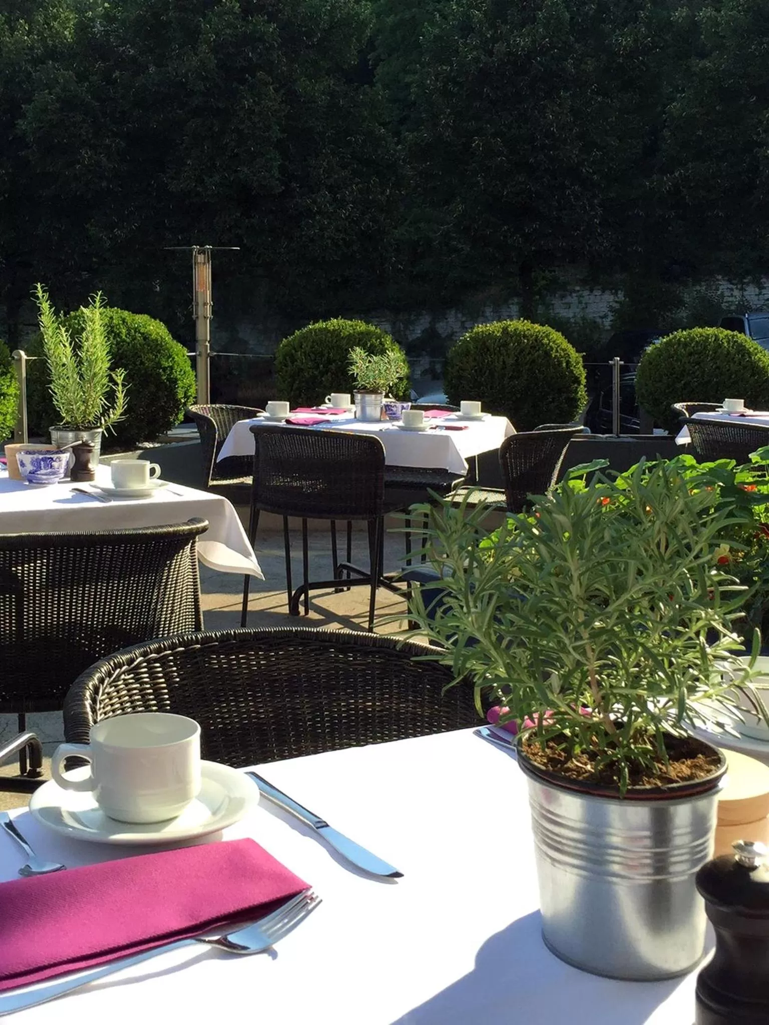 Patio, Restaurant/Places to Eat in Hotel Scholl