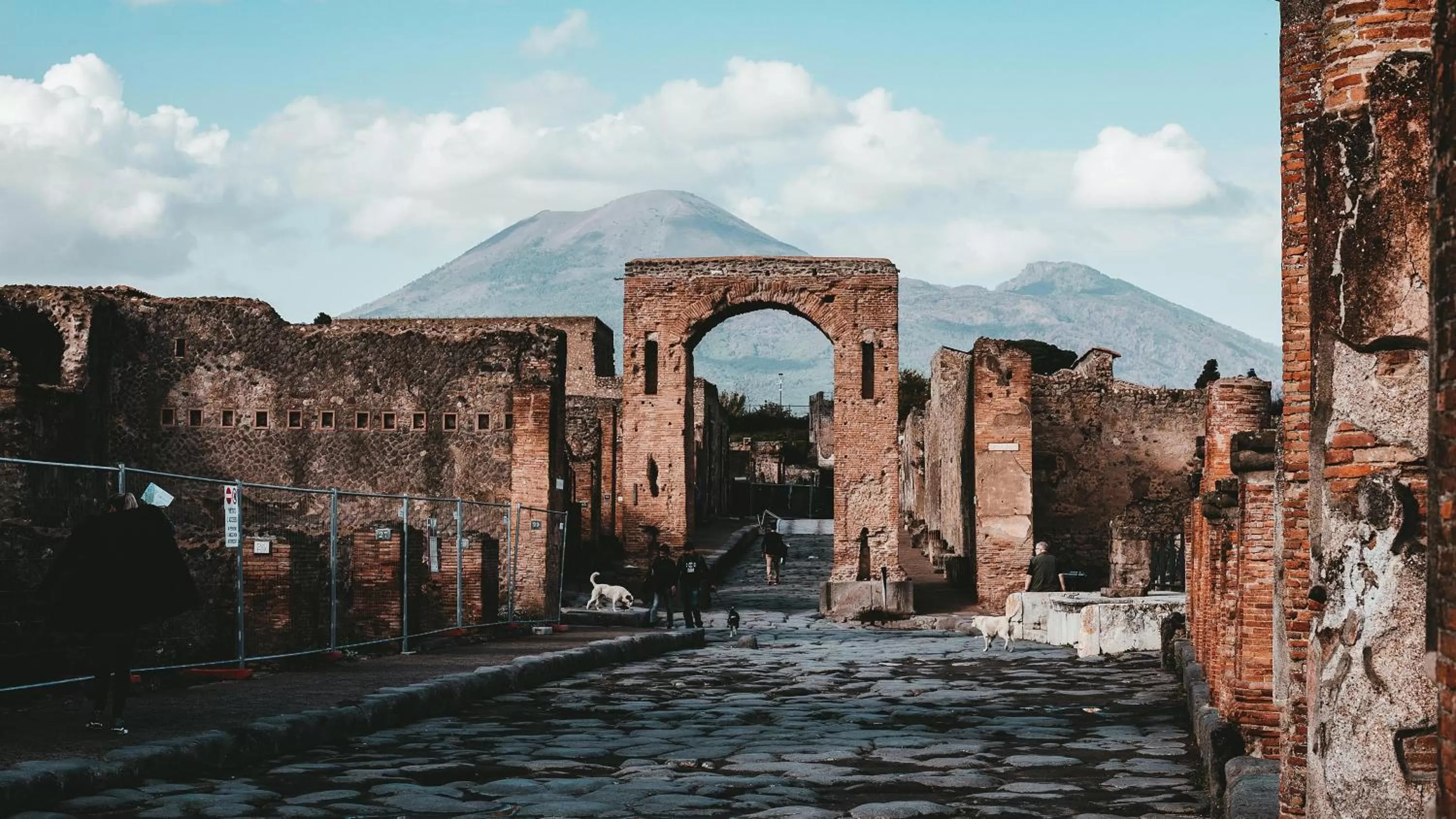 Area and facilities in Holiday Inn Nola - Naples Vulcano Buono, an IHG Hotel