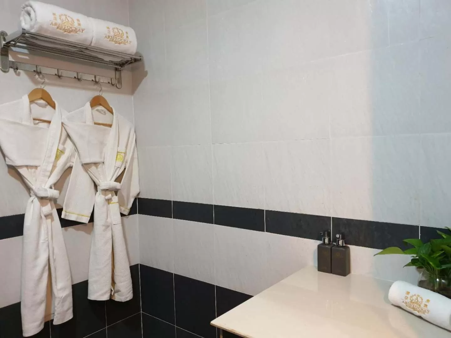 Shower in Aristocrat Residence & Hotel