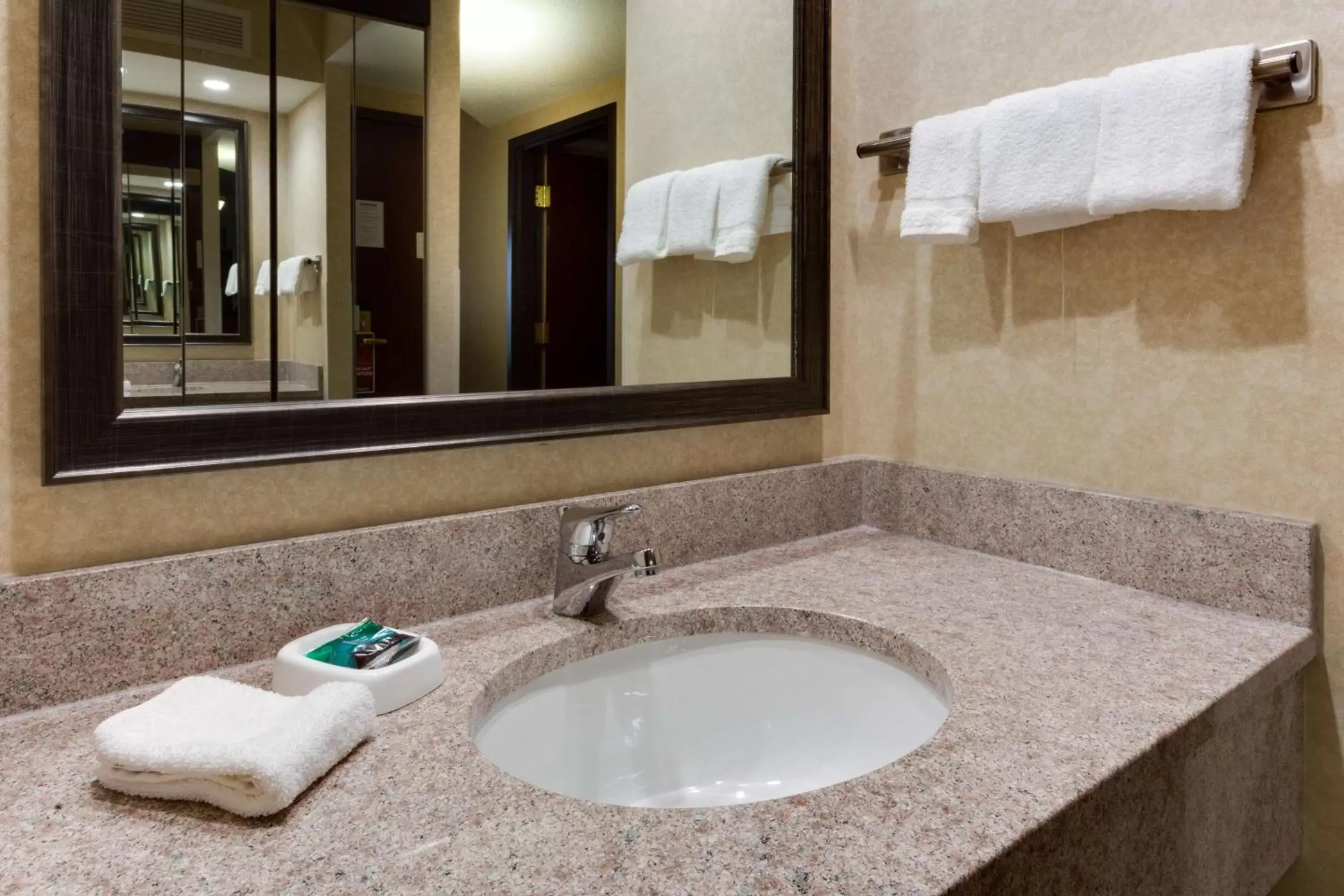 Bathroom in Drury Inn & Suites Birmingham Grandview