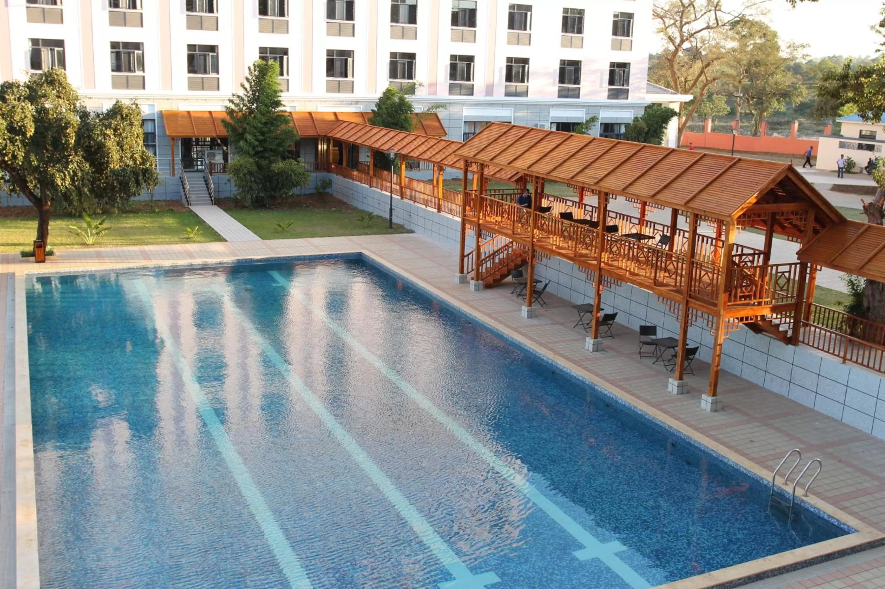  in Sogecoa Golden Peacock