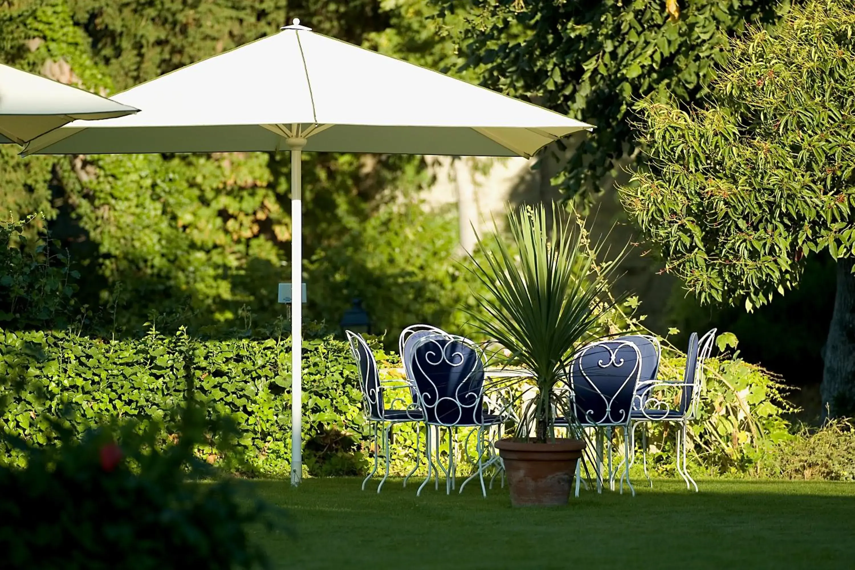 Garden in Hotel Les Hautes Roches