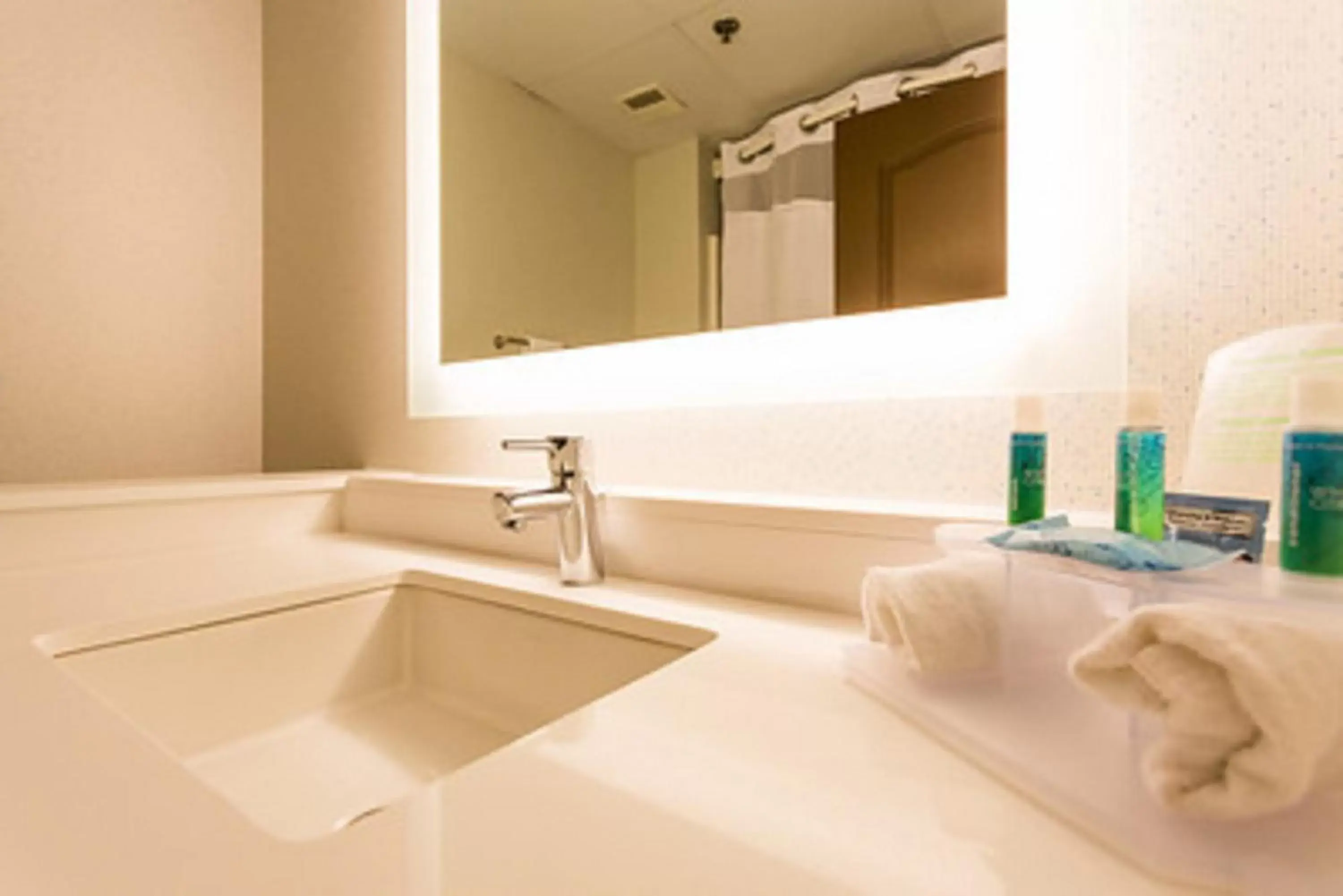 Photo of the whole room, Bathroom in Holiday Inn Express Hotel & Suites Reading, an IHG Hotel