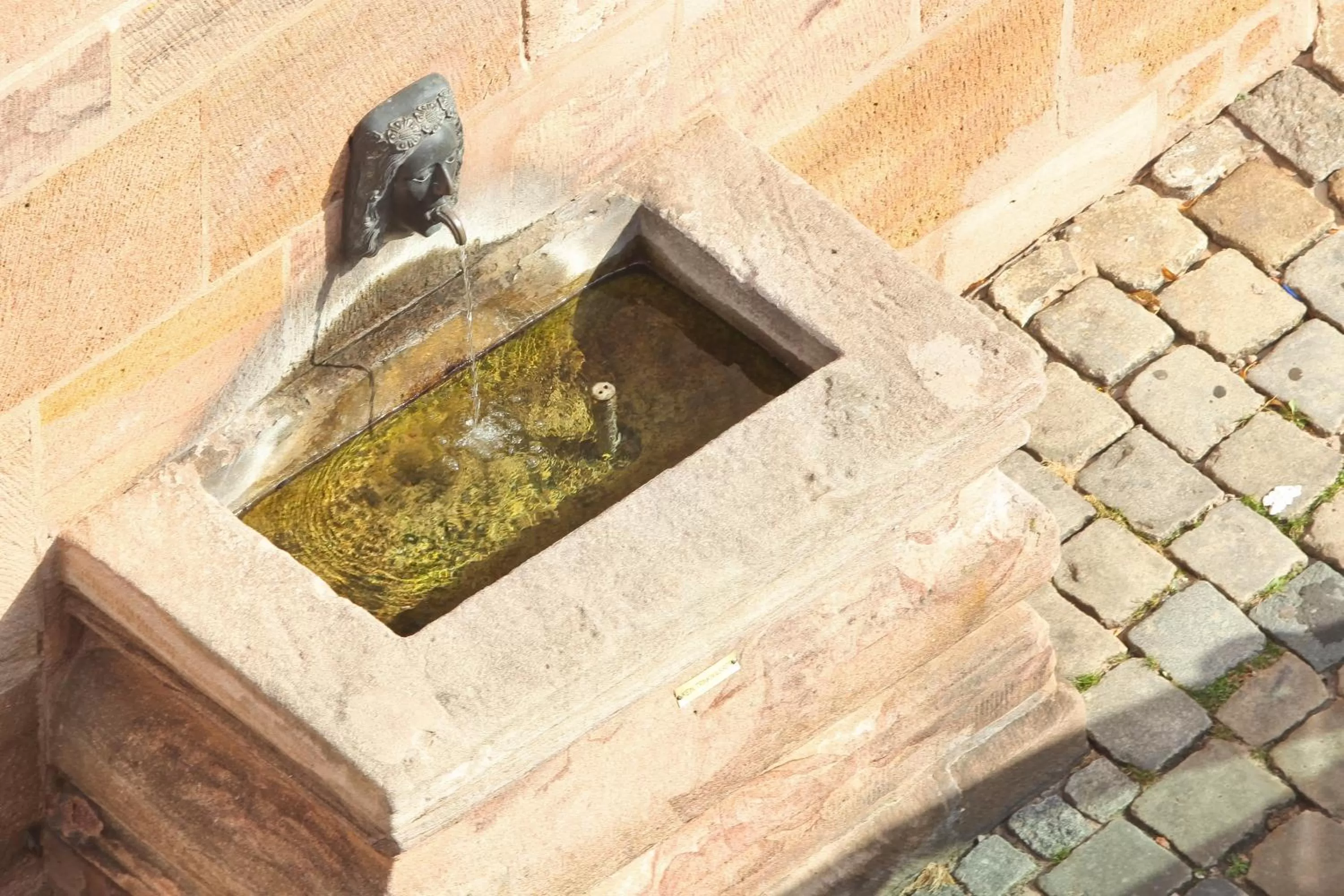 Area and facilities in Hotel Hauser Boutique