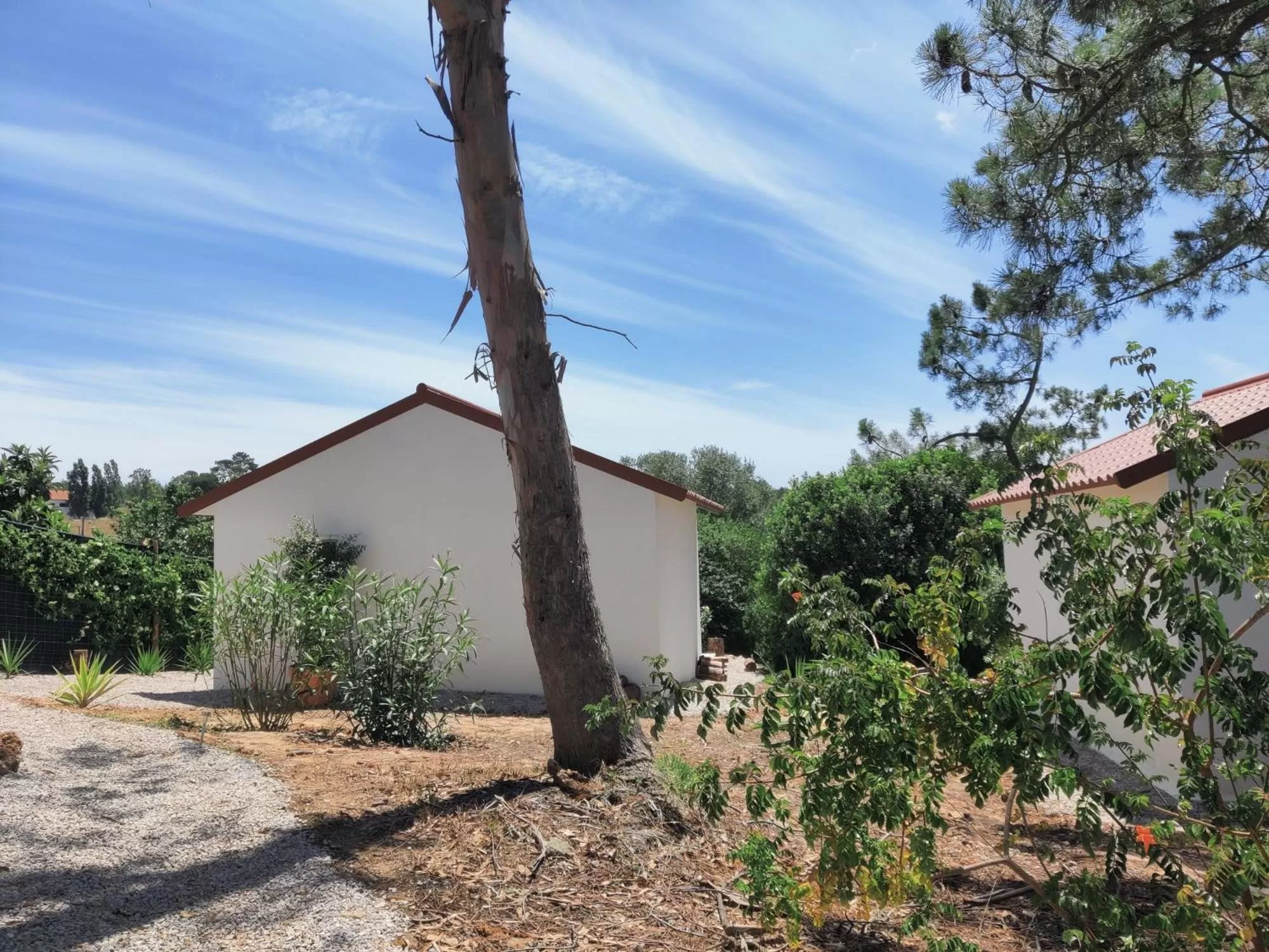 Property Building in Quinta do Alento