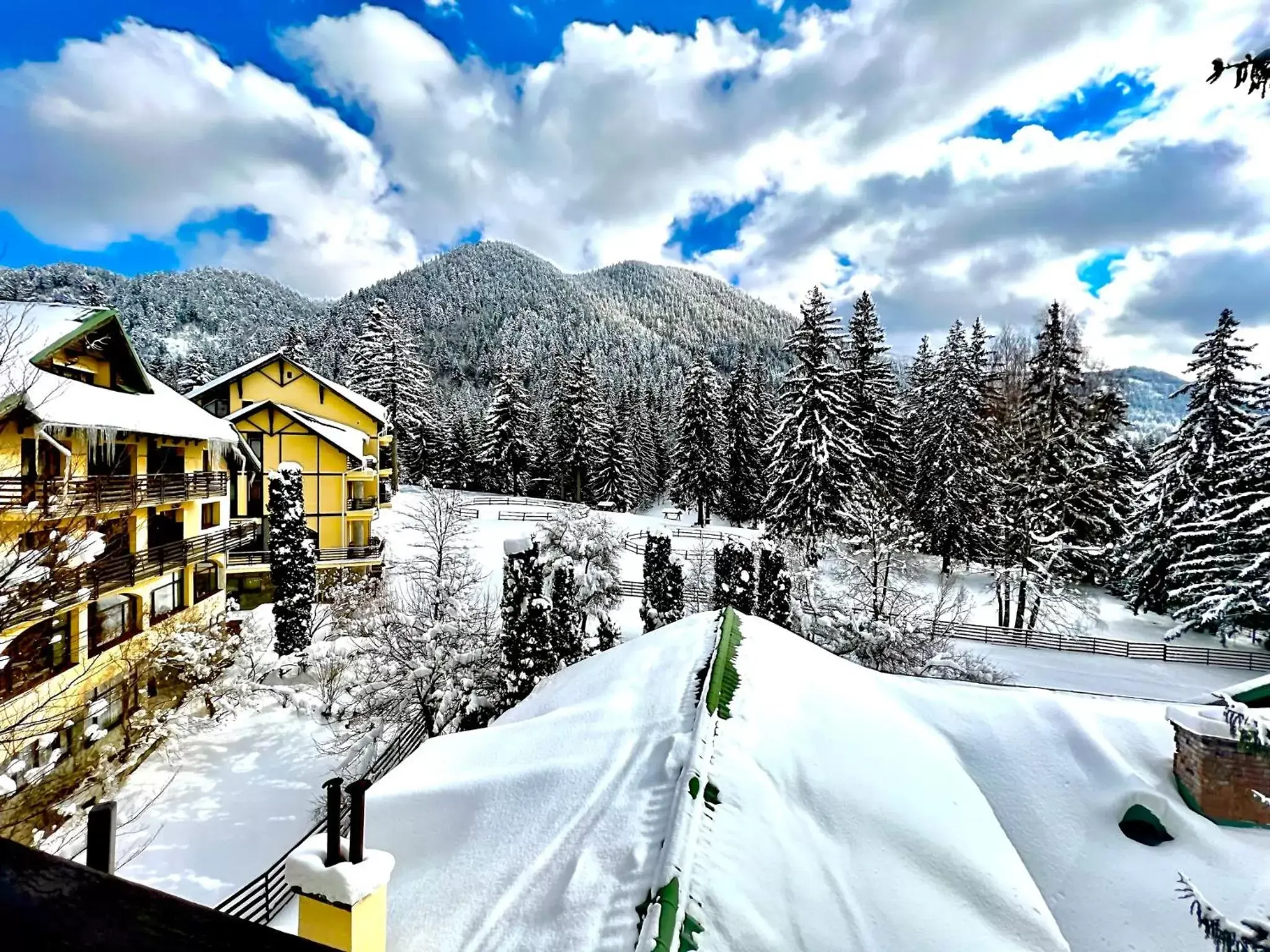 Property building in Hotel Casa Viorel jacuzzi & saunas Property building in Hotel Casa Viorel jacuzzi & saunas