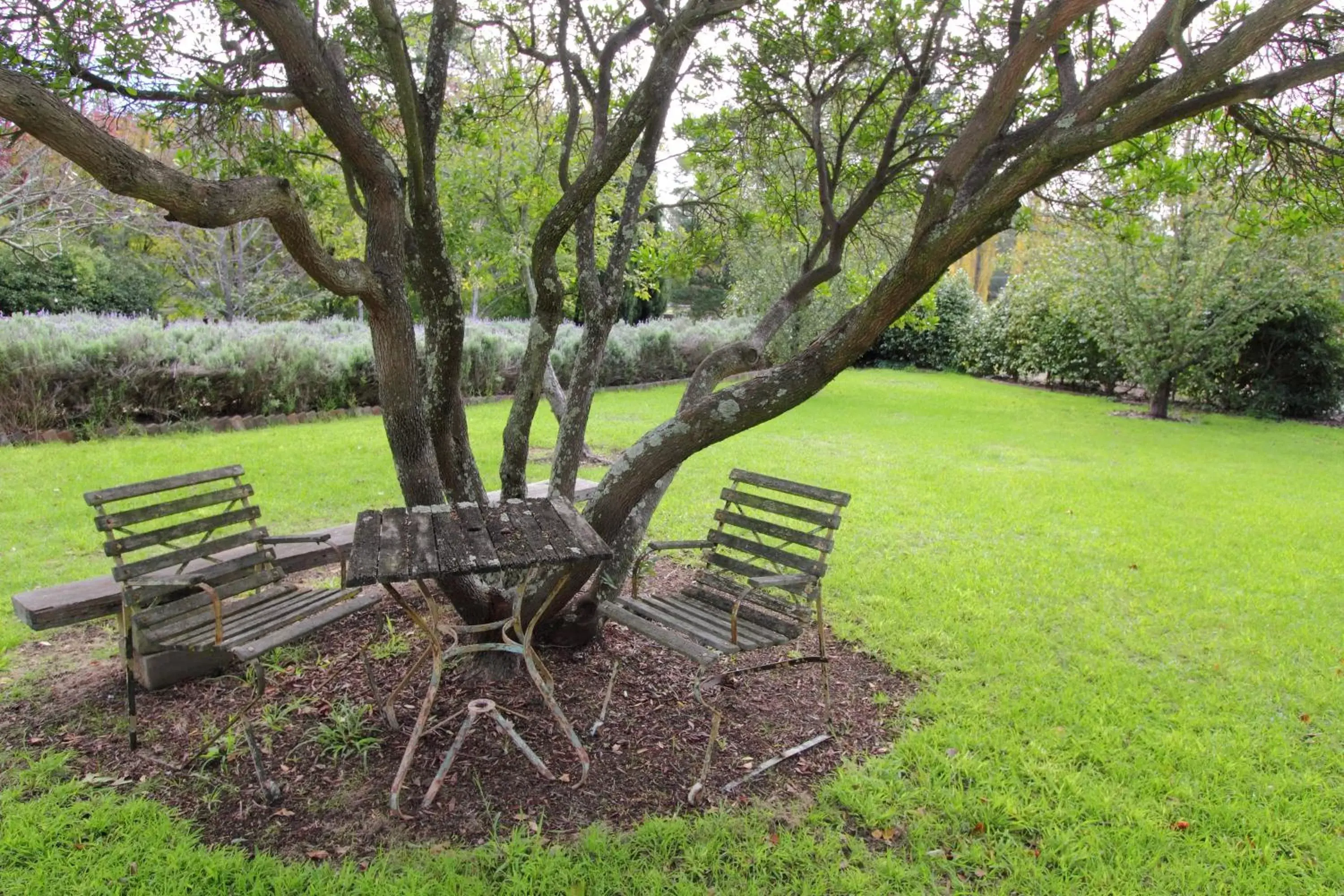 Garden in Fitzroy Inn Historic Retreat Mittagong
