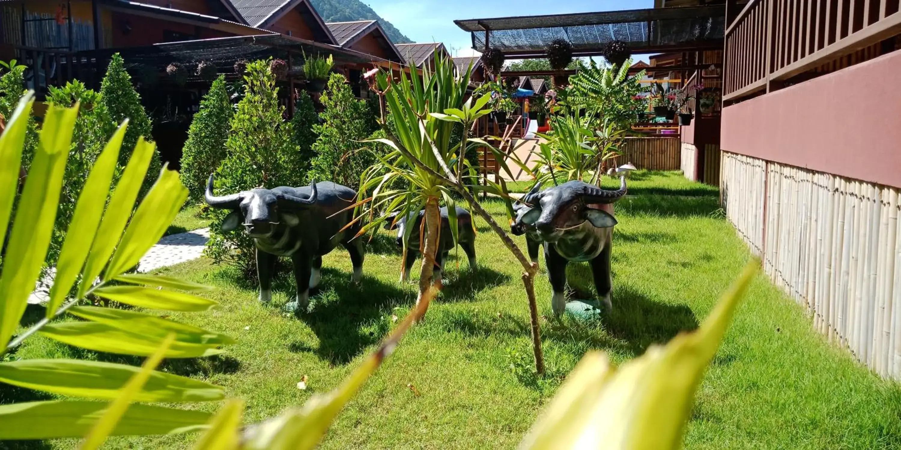 Garden view, Other Animals in Lanta for Rest Boutique