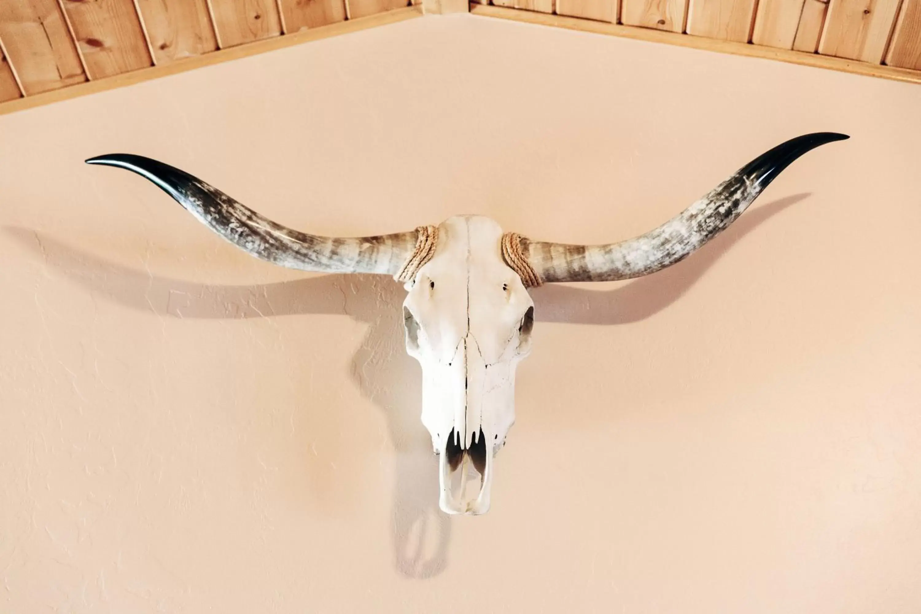 Decorative detail, Other Animals in The Longhorn Ranch Lodge & RV Resort