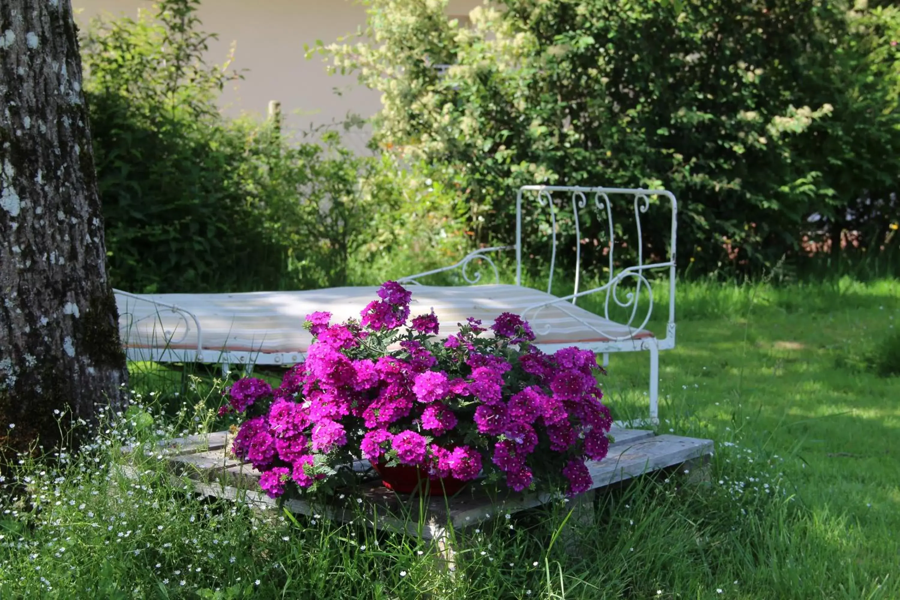 Garden in Les Tilleuls