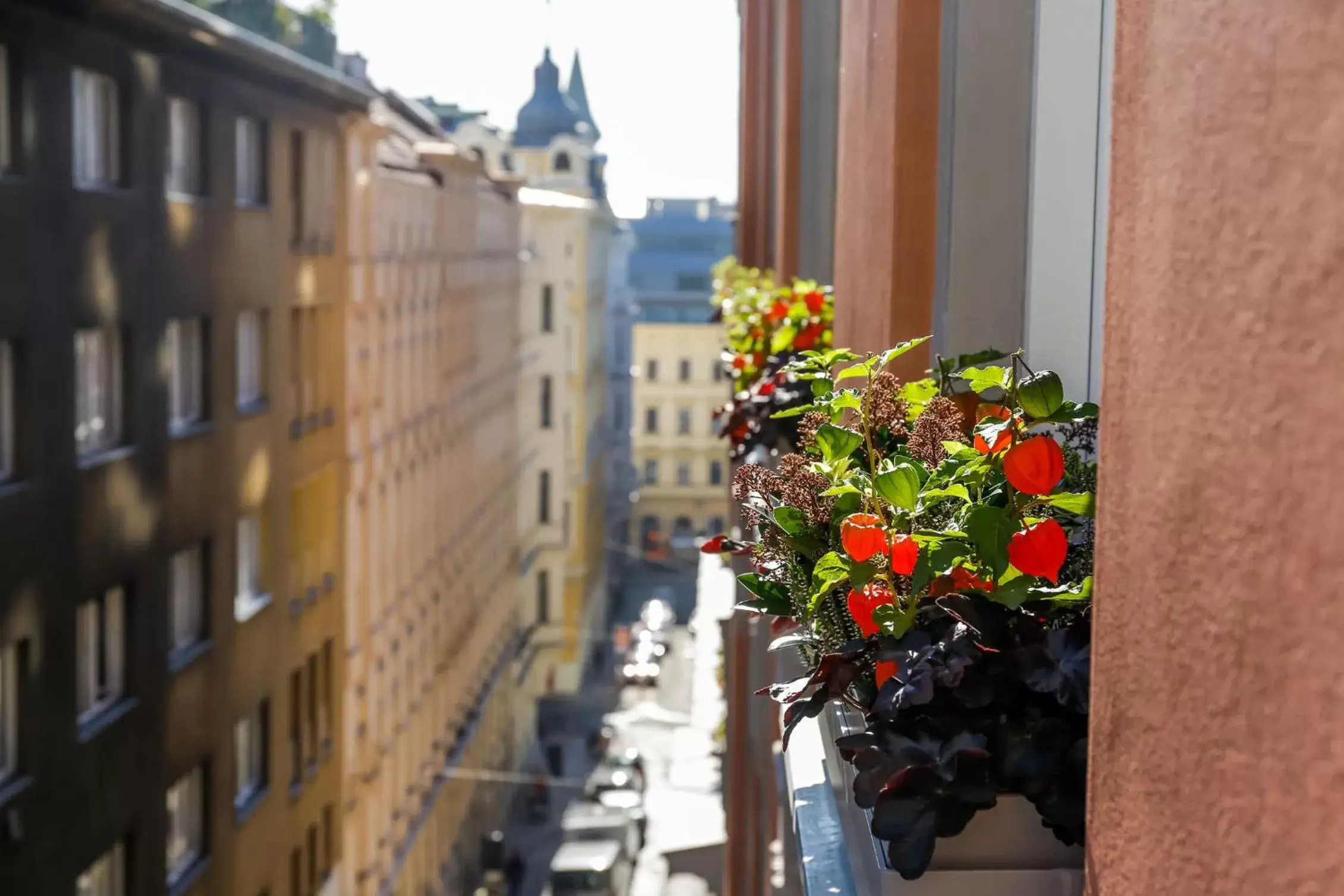 Neighbourhood in Boutiquehotel Das Tyrol