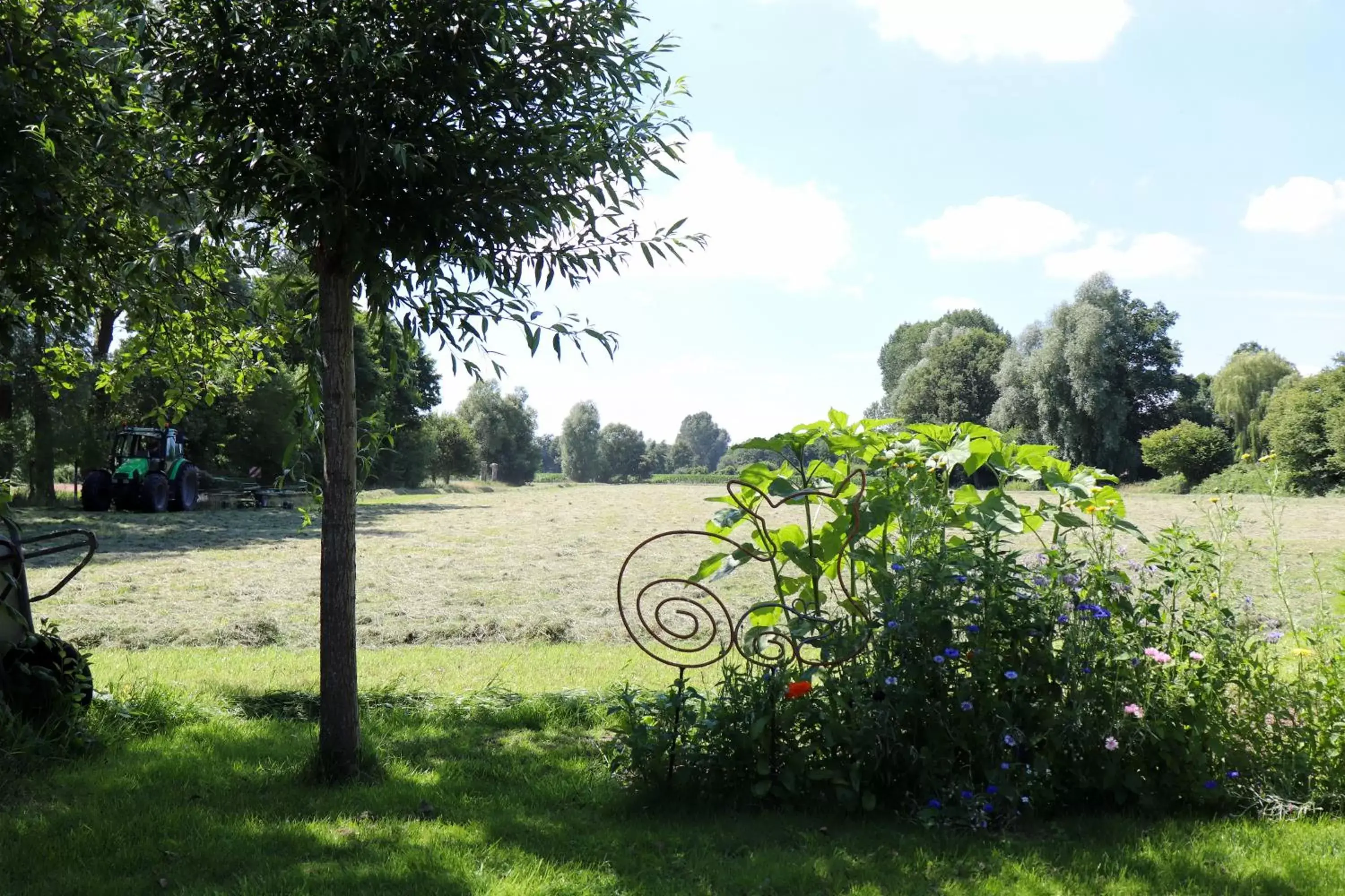 View (from property/room) in B&B De Ark