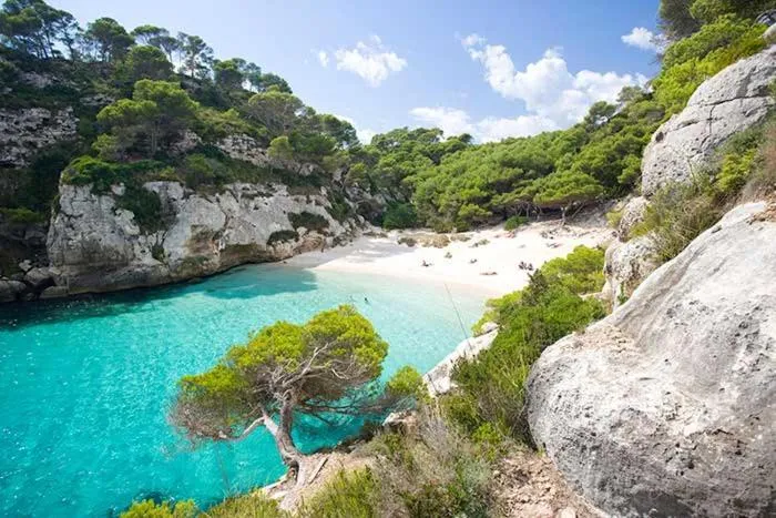 Natural landscape in LLONGA'S 7th