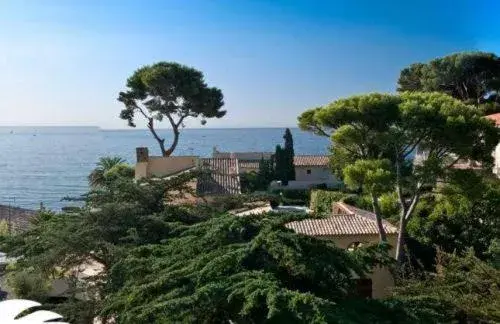 Area and facilities in Hotel SPA Plage St Jean