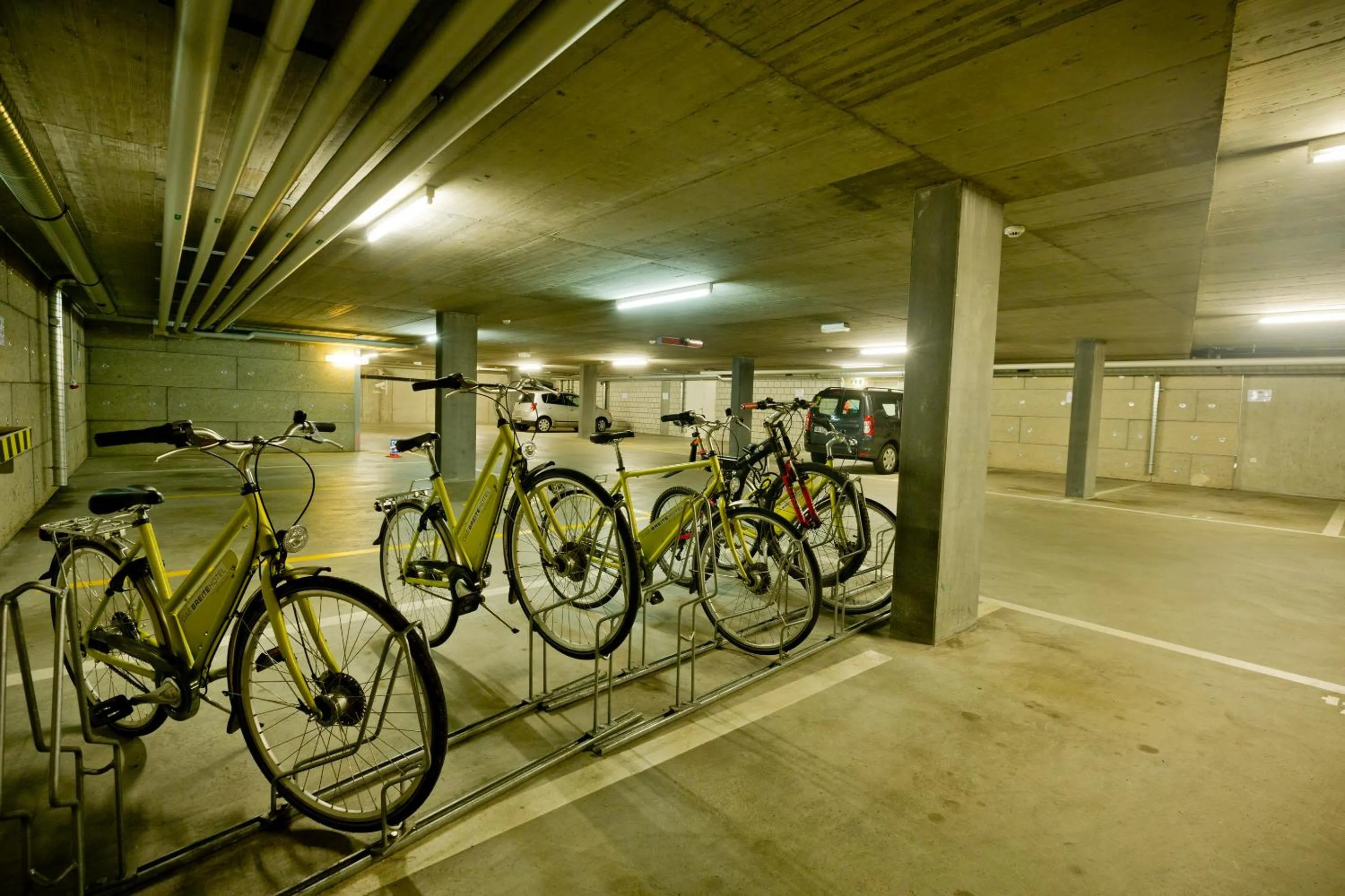 Decorative detail in Dasbreitehotel am Rhein