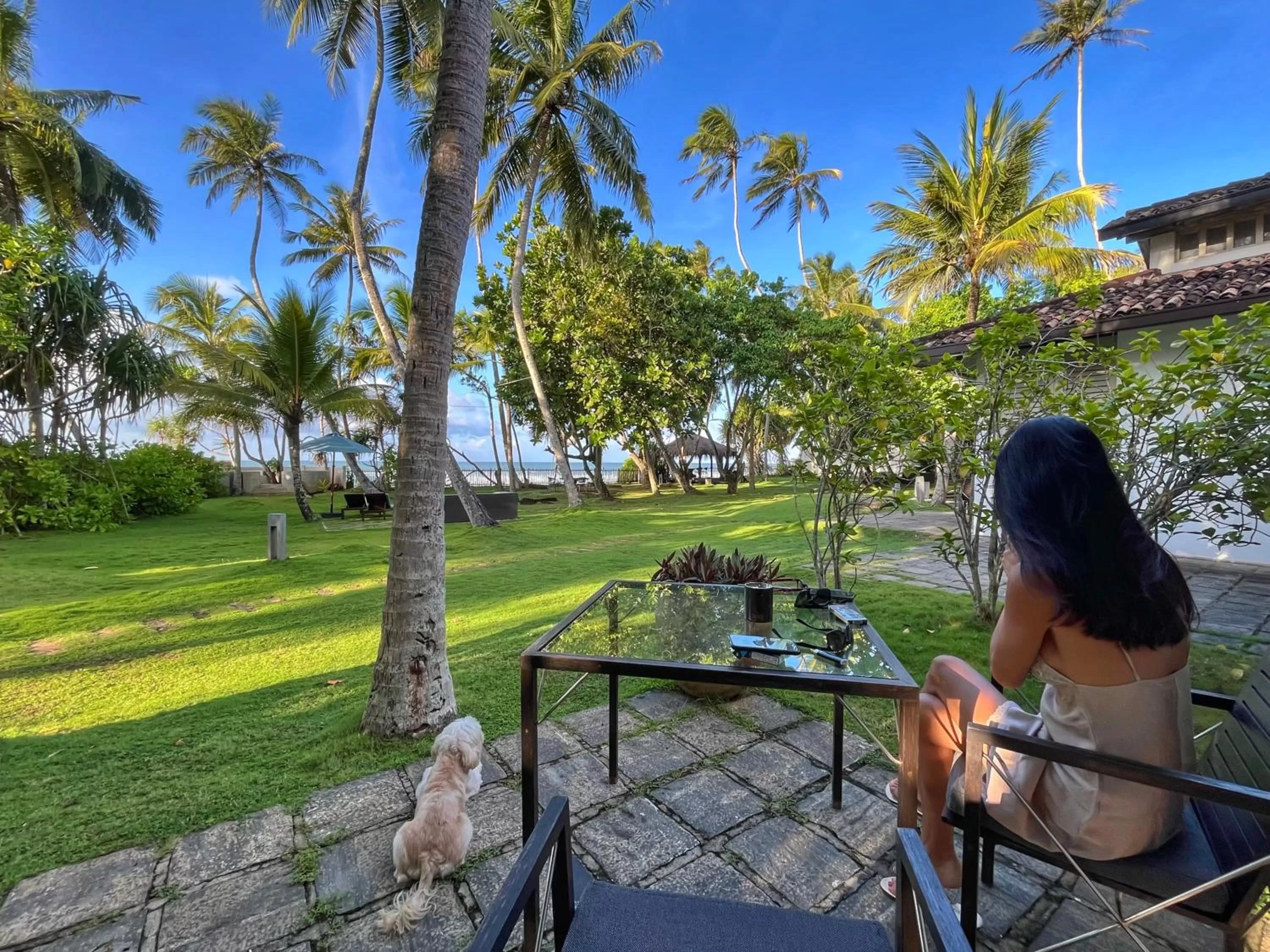 Natural landscape in Satin Doll