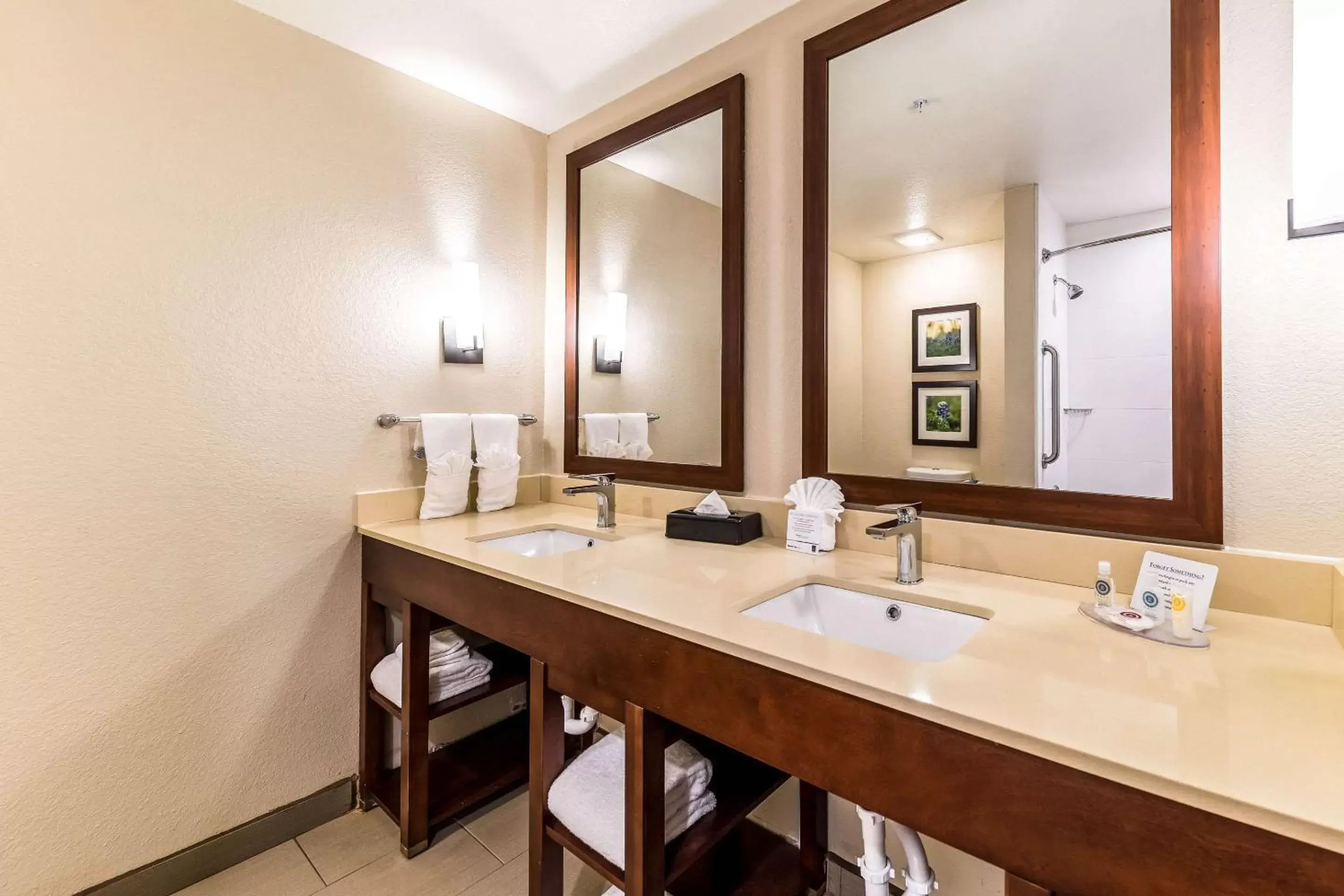 Bathroom in Comfort Suites Grand Prairie - Arlington North