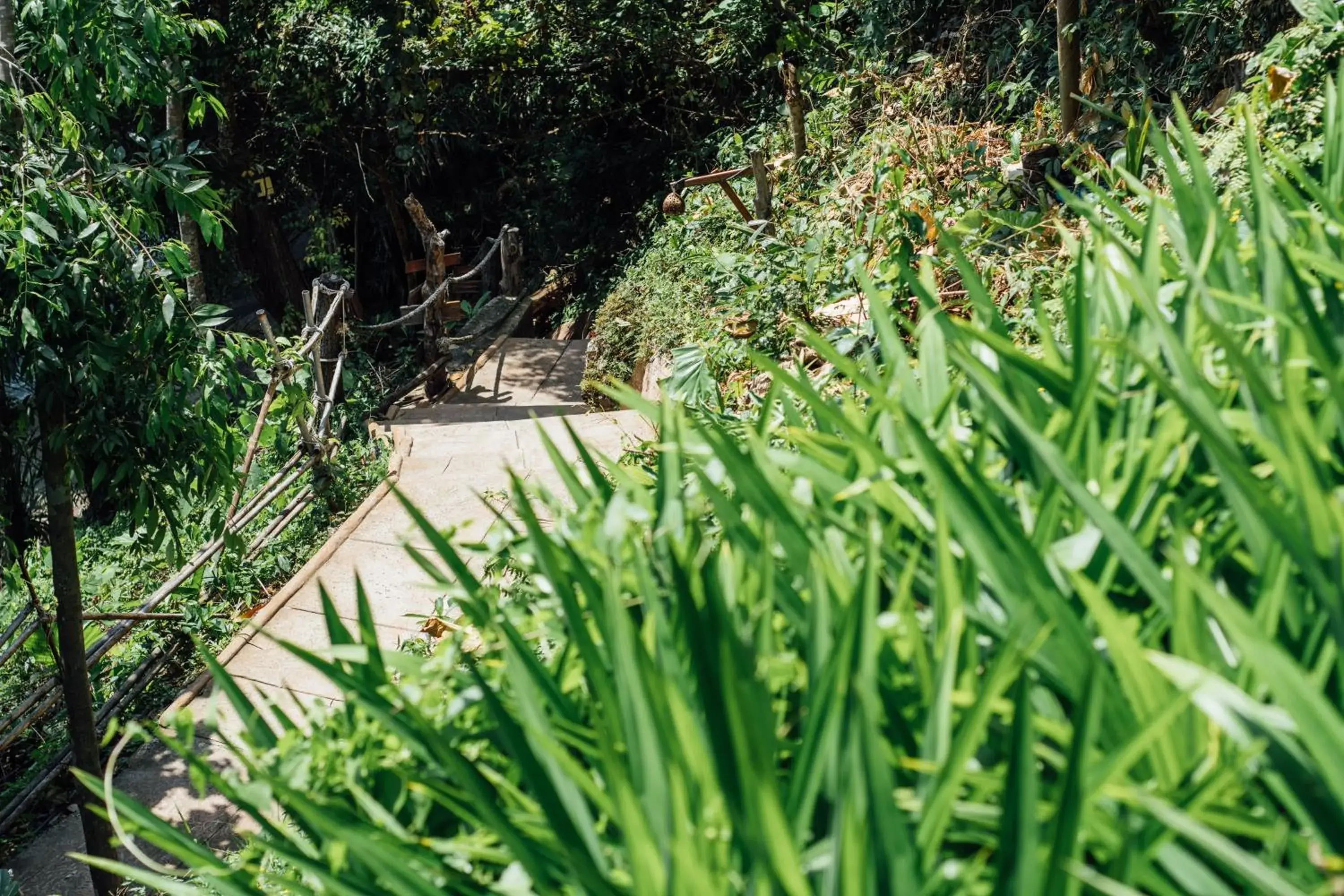 Garden, Swimming Pool in Railay Garden View Resort