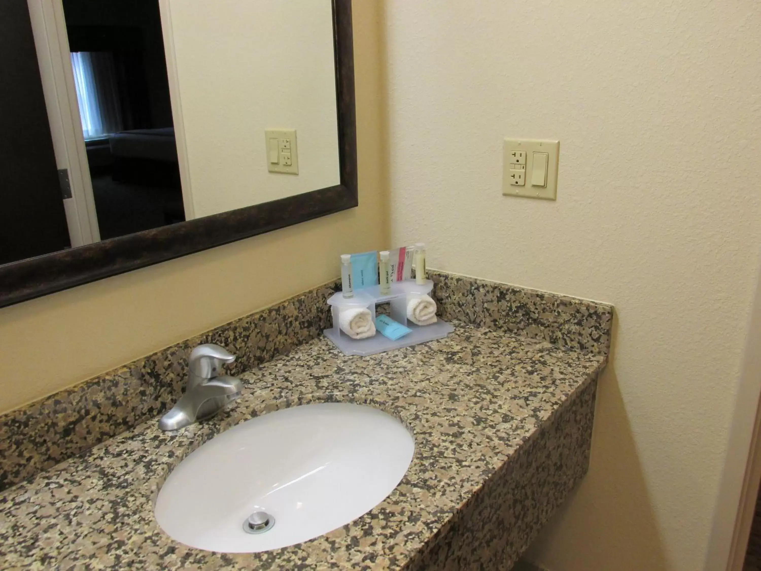 Bathroom in Holiday Inn Express and Suites Wheeling, an IHG Hotel