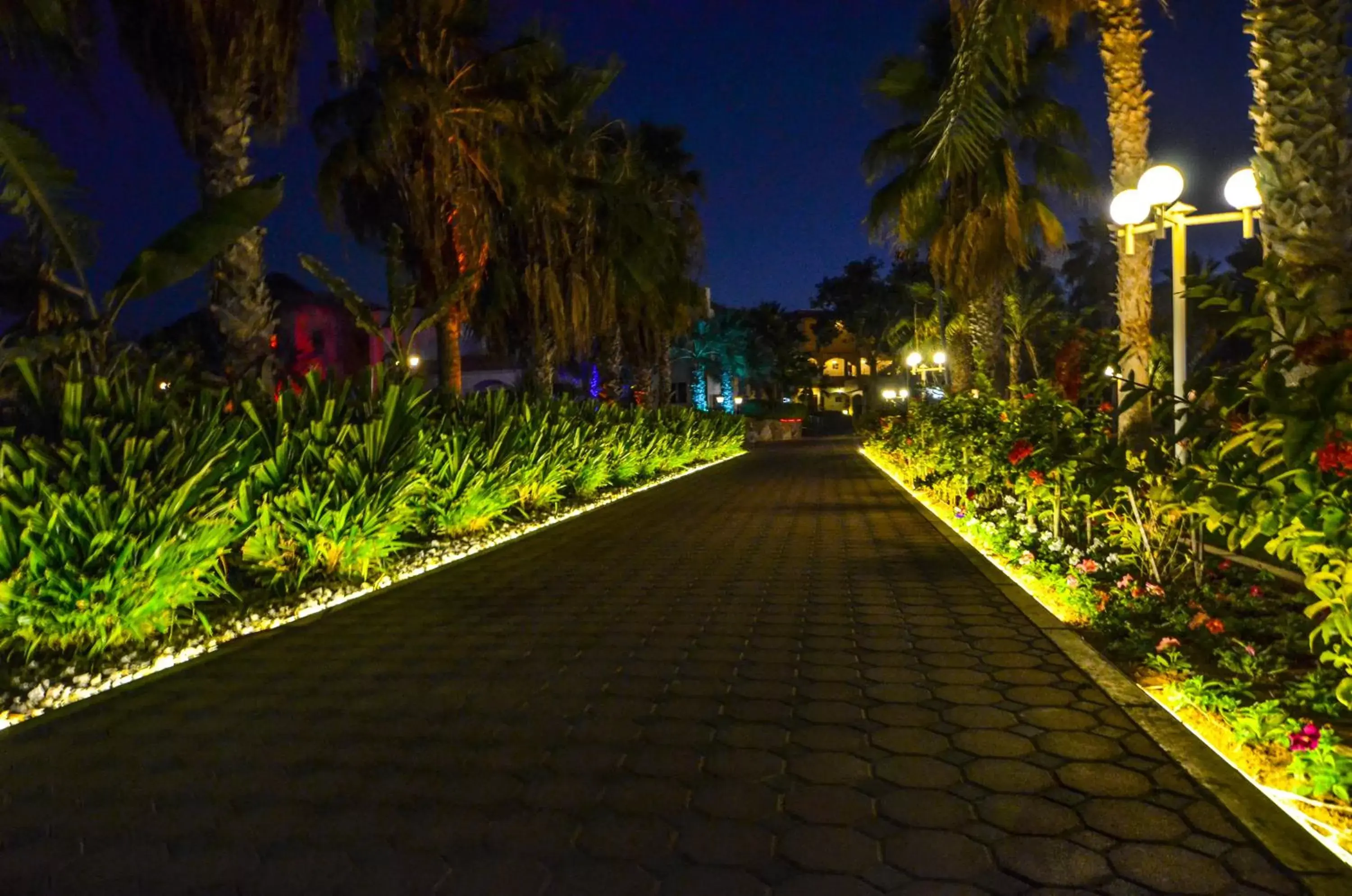 Night, Garden in Sandy Beach Hotel & Resort