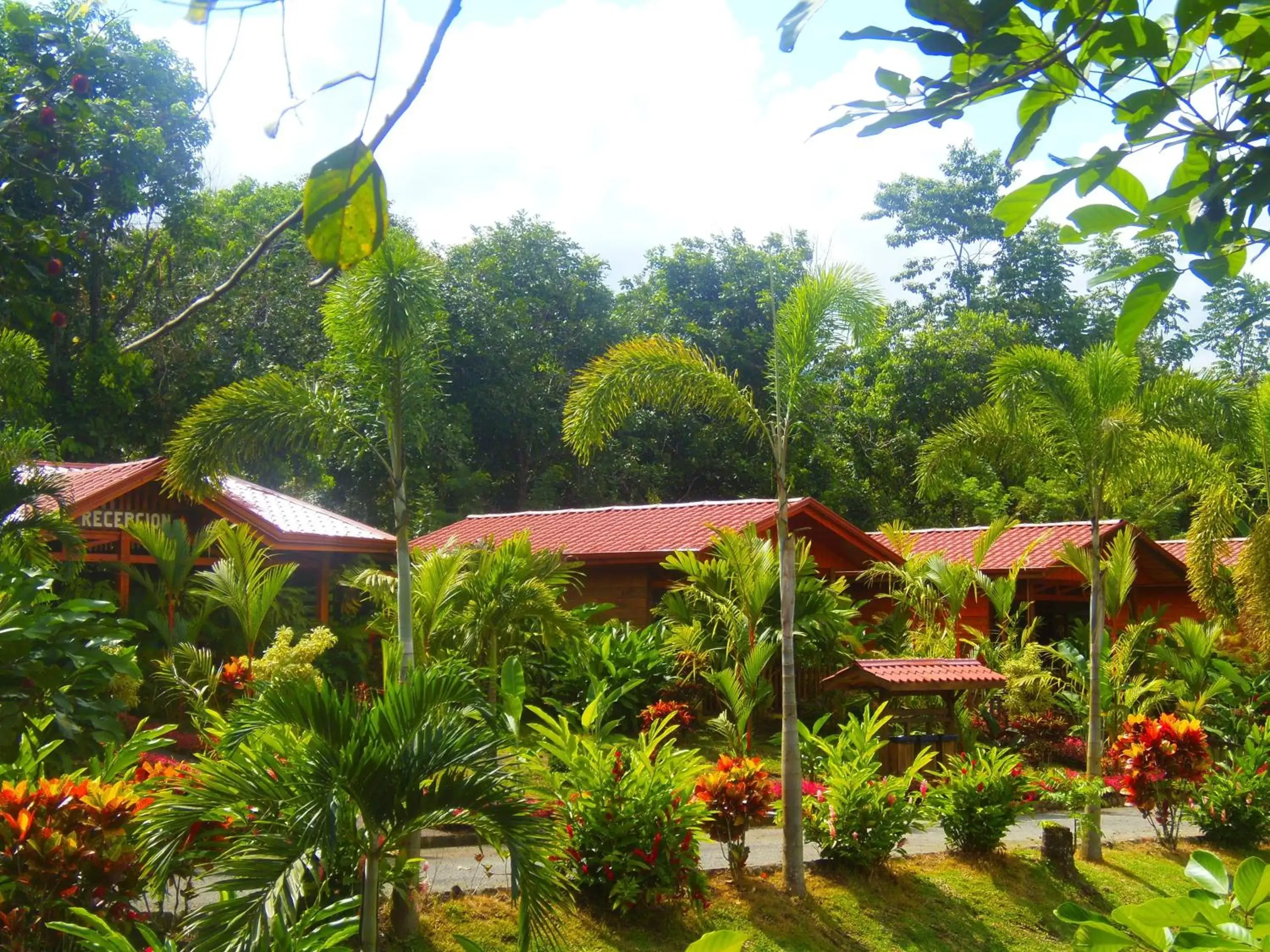 Facade/entrance, Garden in Hotel Heliconias Nature Inn & Hot Springs