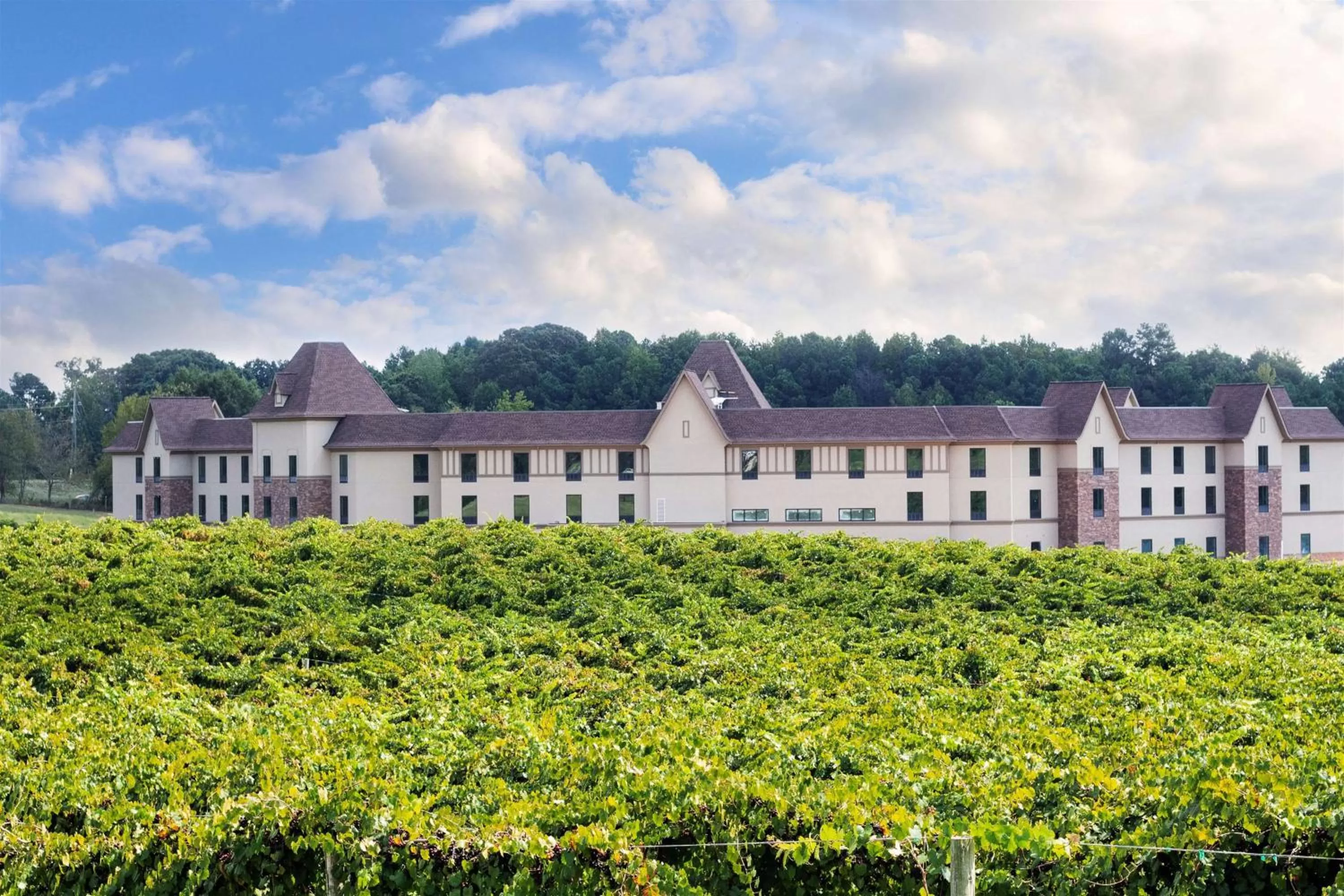 King Studio Suite with View - Non-Smoking in Hampton Inn & Suites Braselton