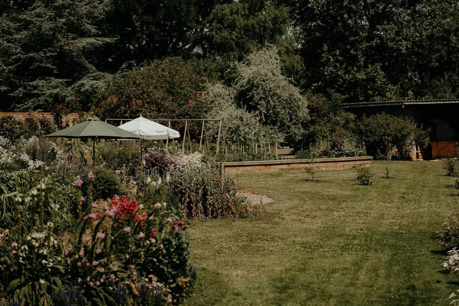 Garden in Verzon House