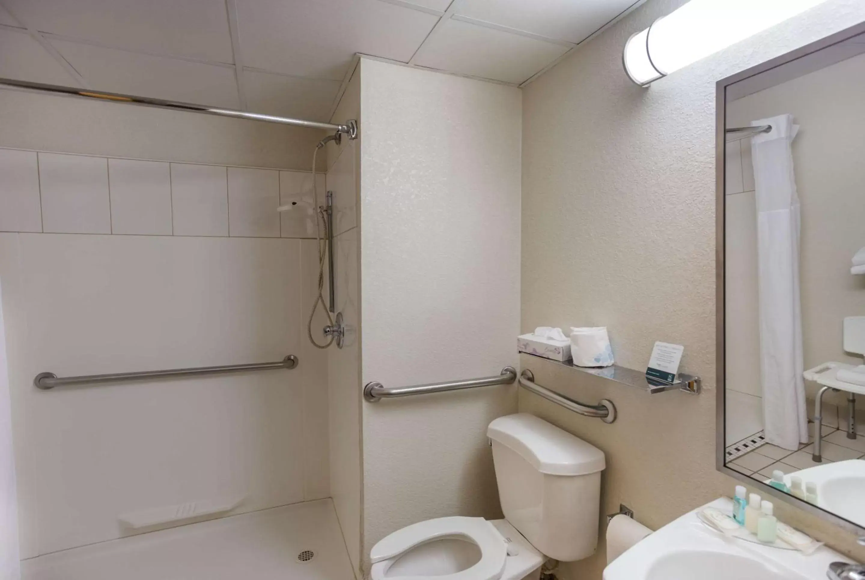 Shower, Bathroom in Quality Inn Central