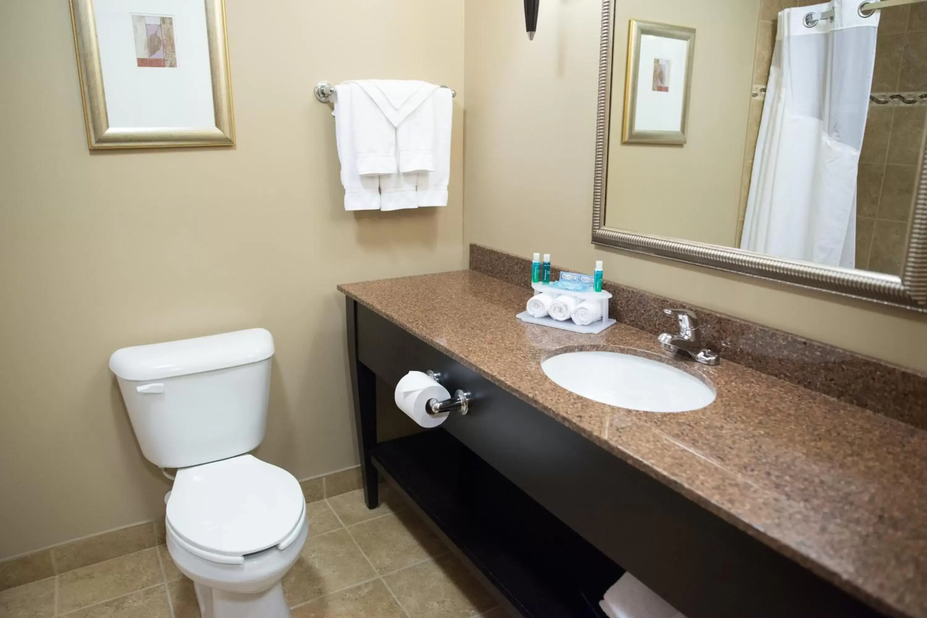 Bathroom in Holiday Inn Express & Suites Northwood