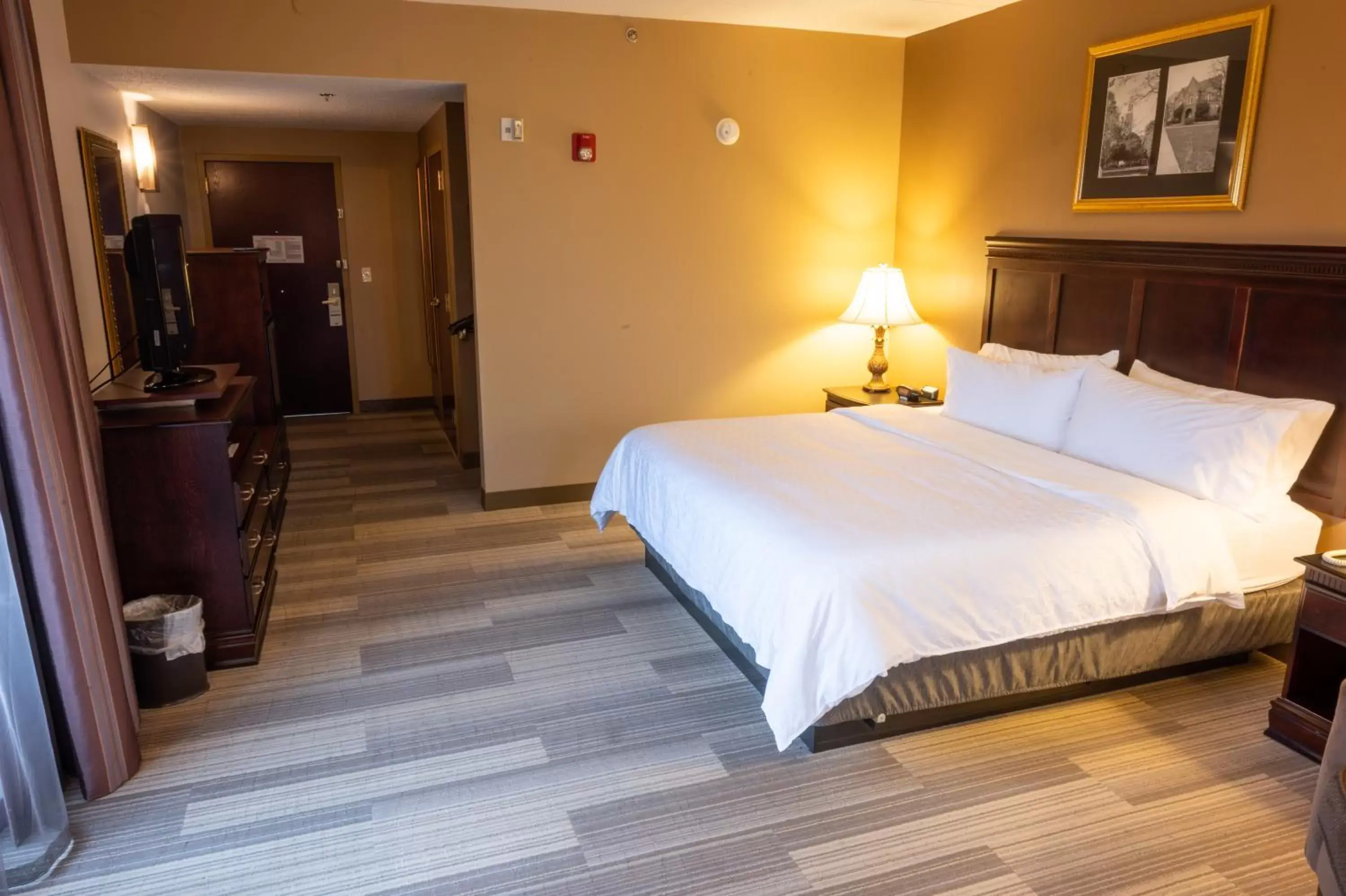 Photo of the whole room in Holiday Inn Express & Suites - Tuscaloosa-University, an IHG Hotel