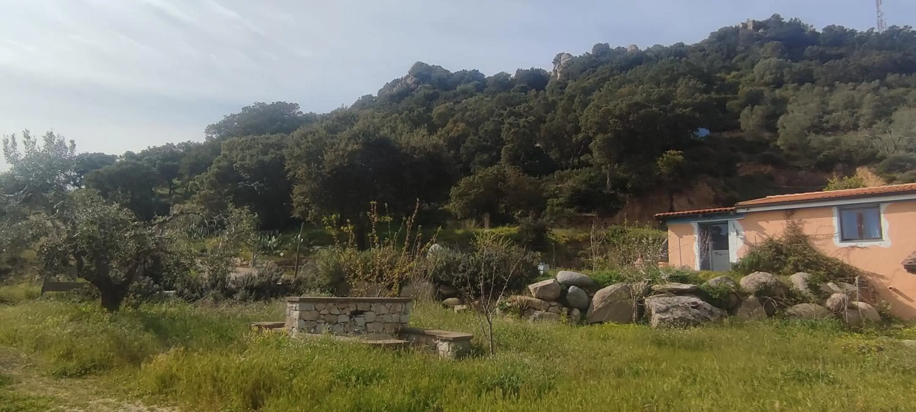 Garden in B&B Il Nuraghe