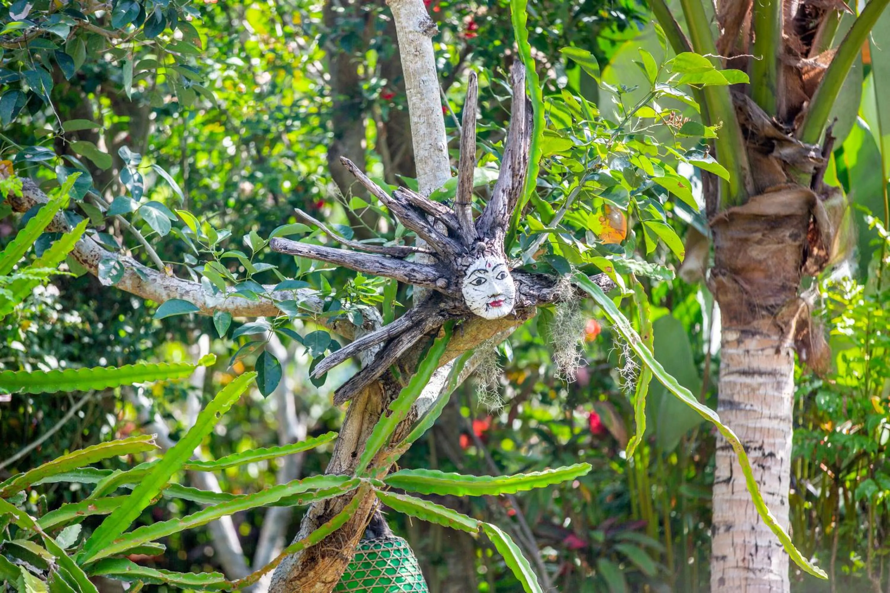 Natural landscape in Swasti Eco Cottages