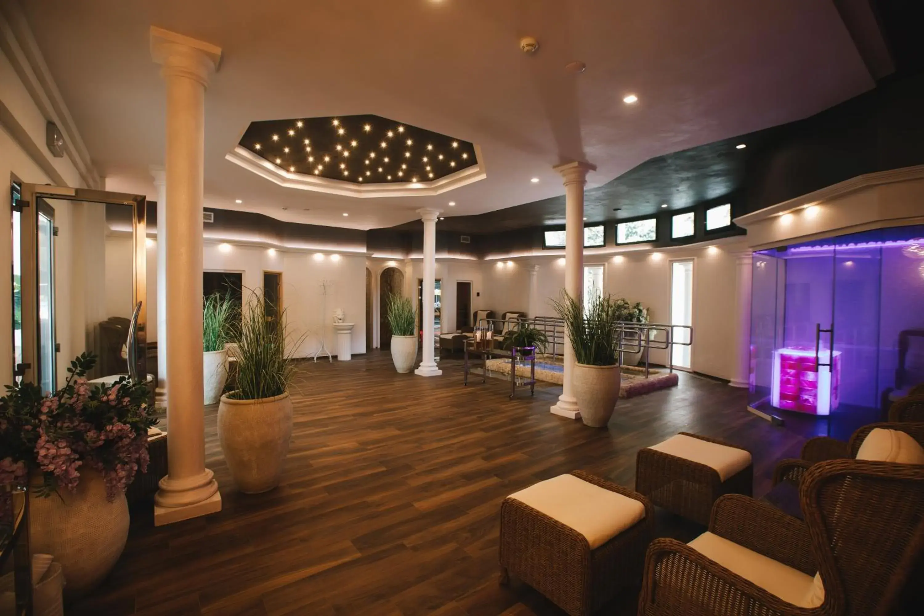Hot Spring Bath, Lobby/Reception in Hotel President Terme