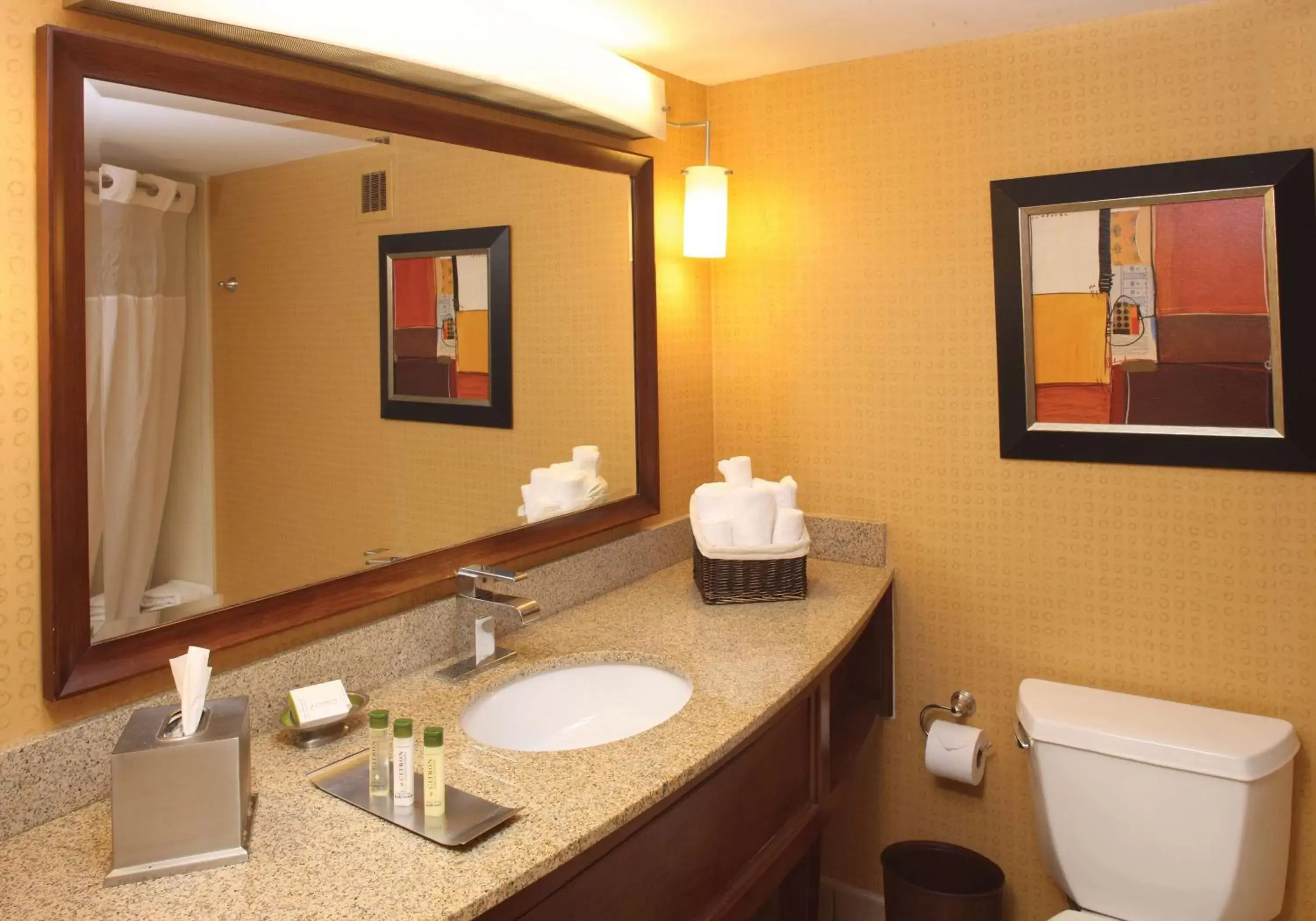 Bathroom in DoubleTree by Hilton Hotel Oak Ridge - Knoxville