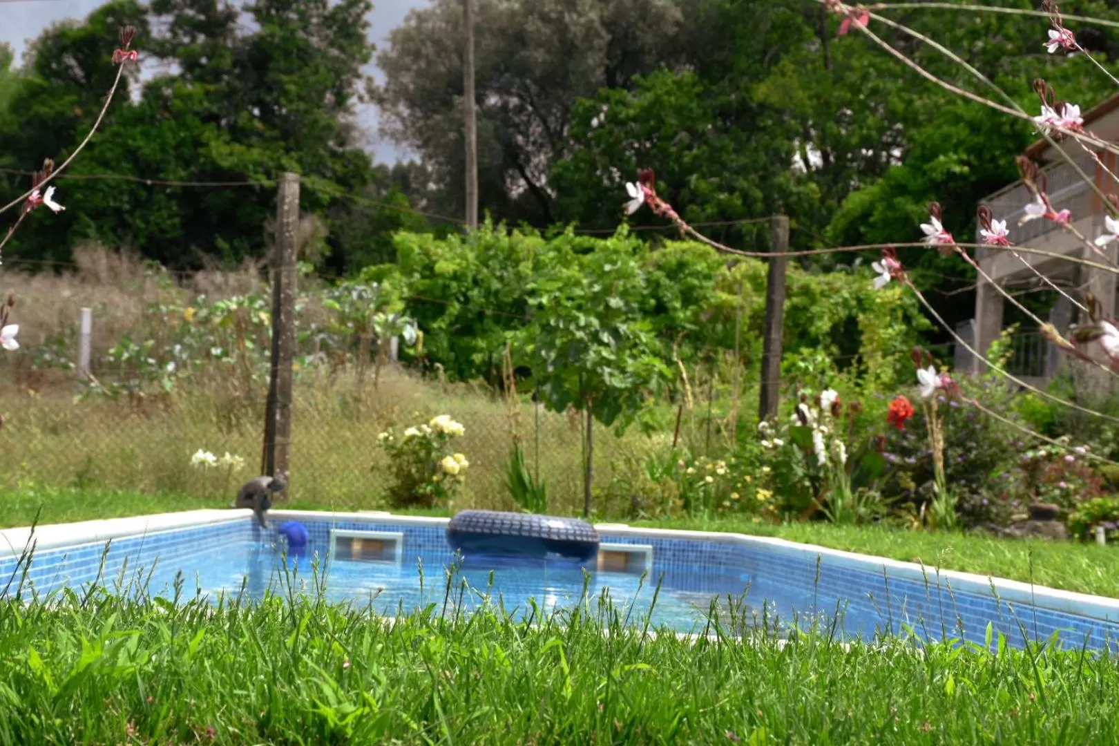 Day, Swimming Pool in B&B Villa Branca Barreiros AL98139