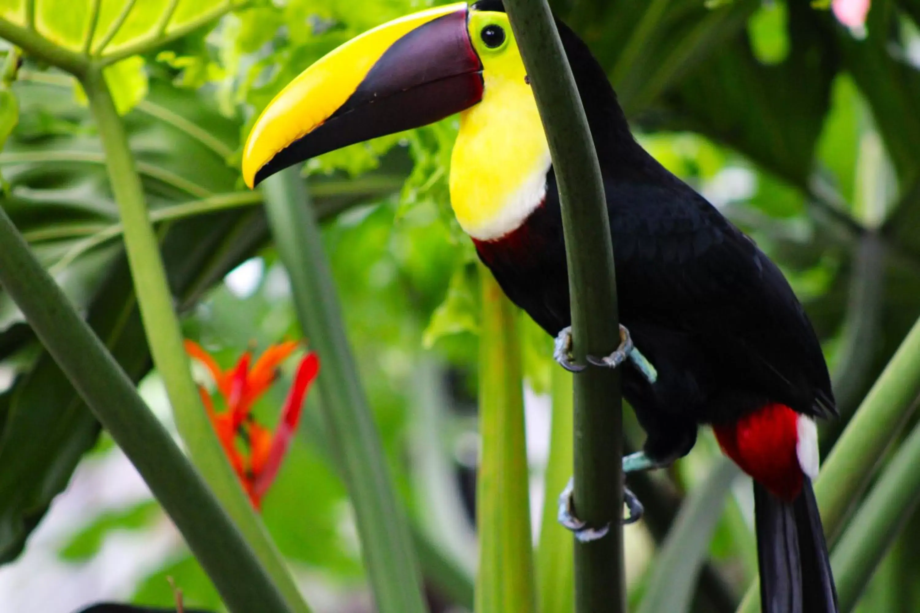 Natural landscape, Other Animals in Hotel Arte Natura