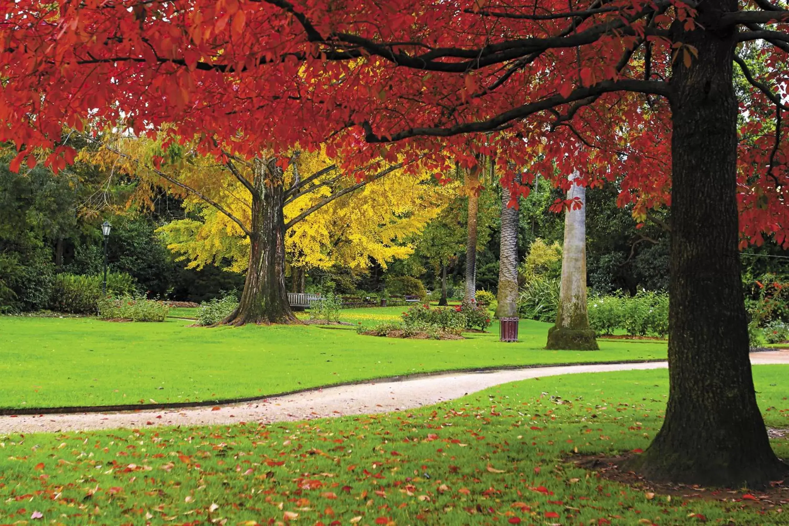 Nearby landmark, Garden in Quest Albury on Townsend