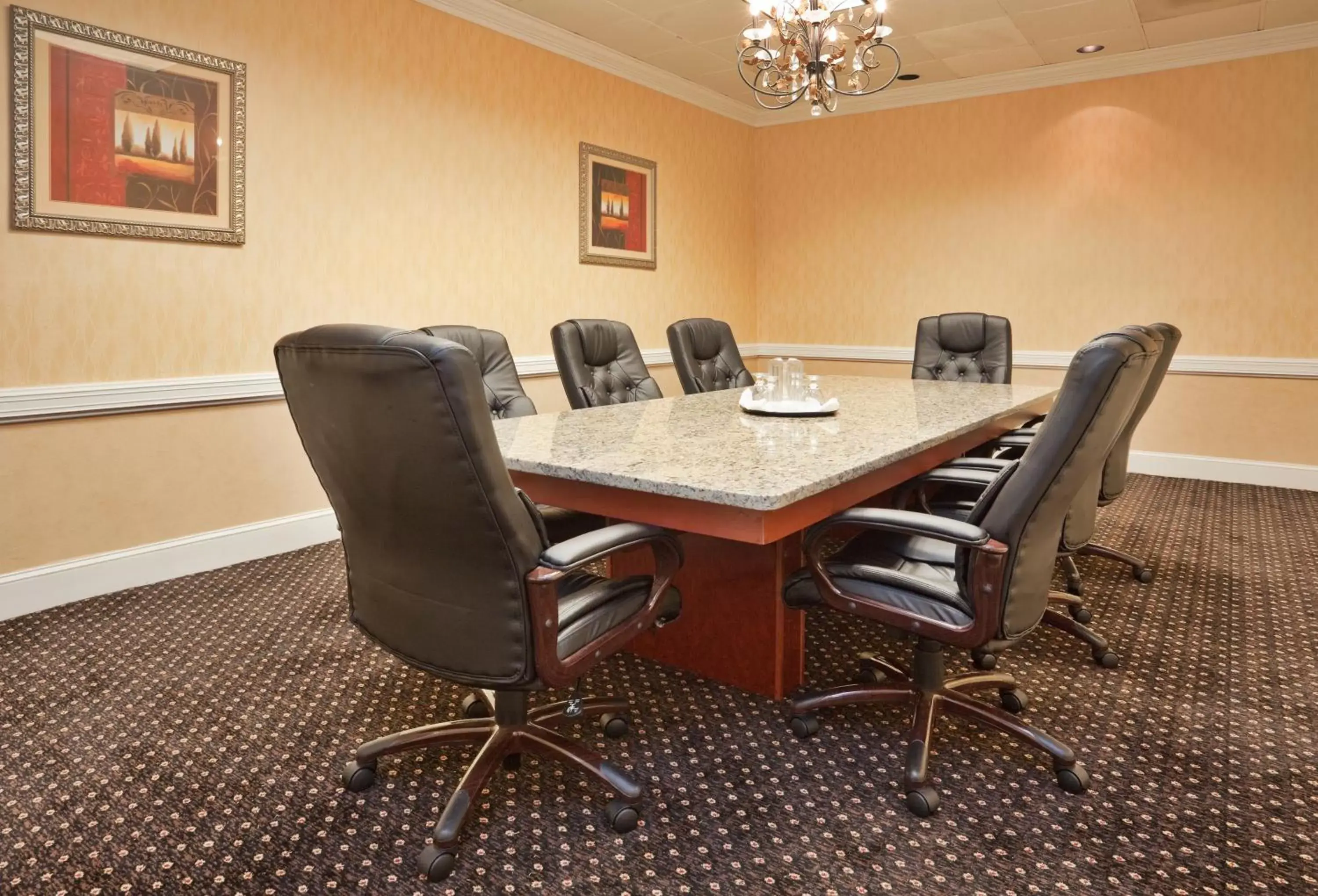 Meeting/conference room in Holiday Inn Lumberton, an IHG Hotel
