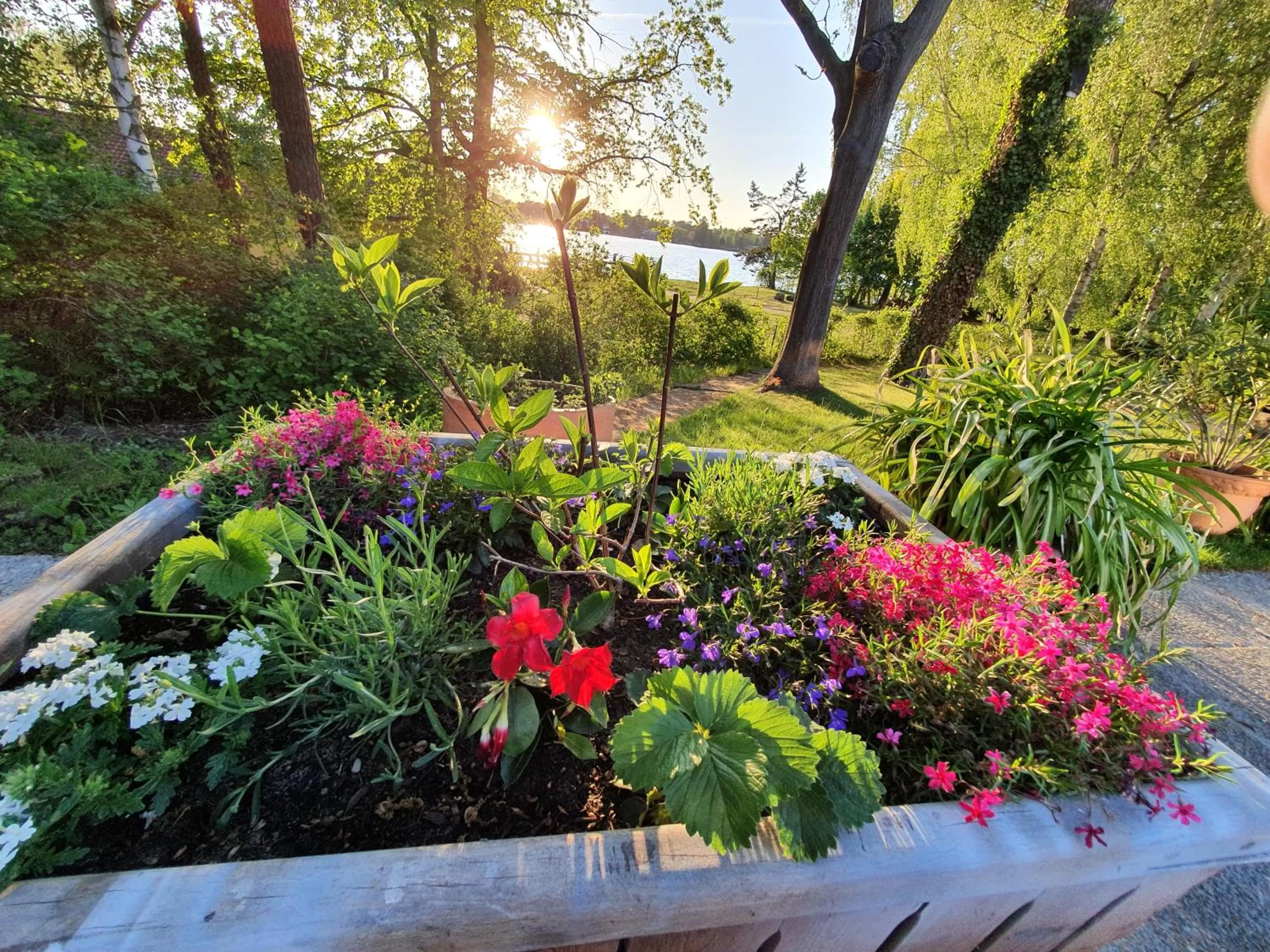Day in Waldhotel am See Berlin-Schmöckwitz