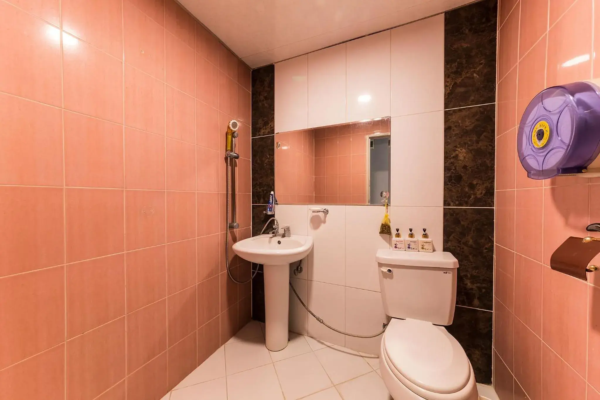 Bathroom in Goodstay Grand Motel Chuncheon