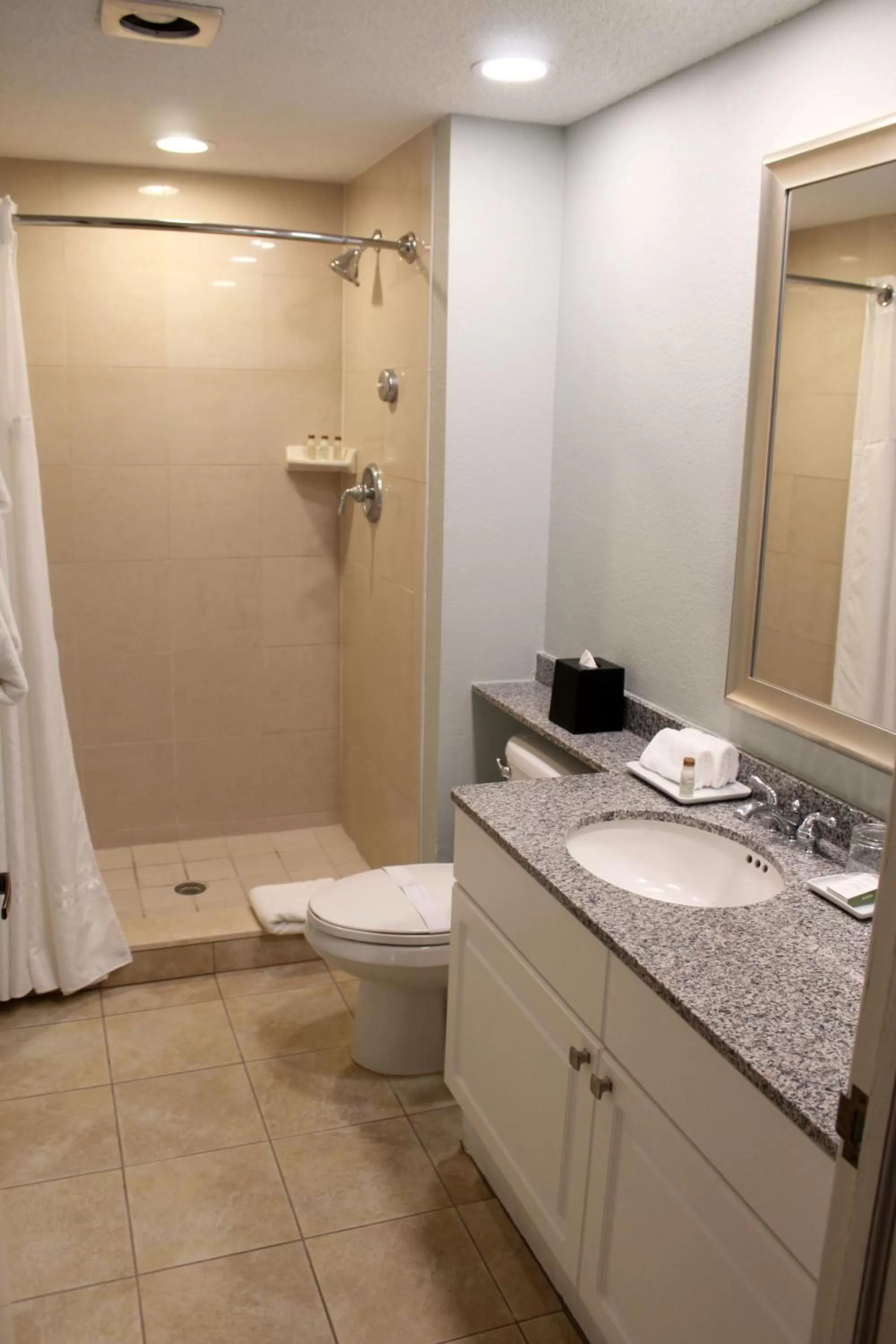 Bathroom in Innisbrook Resort