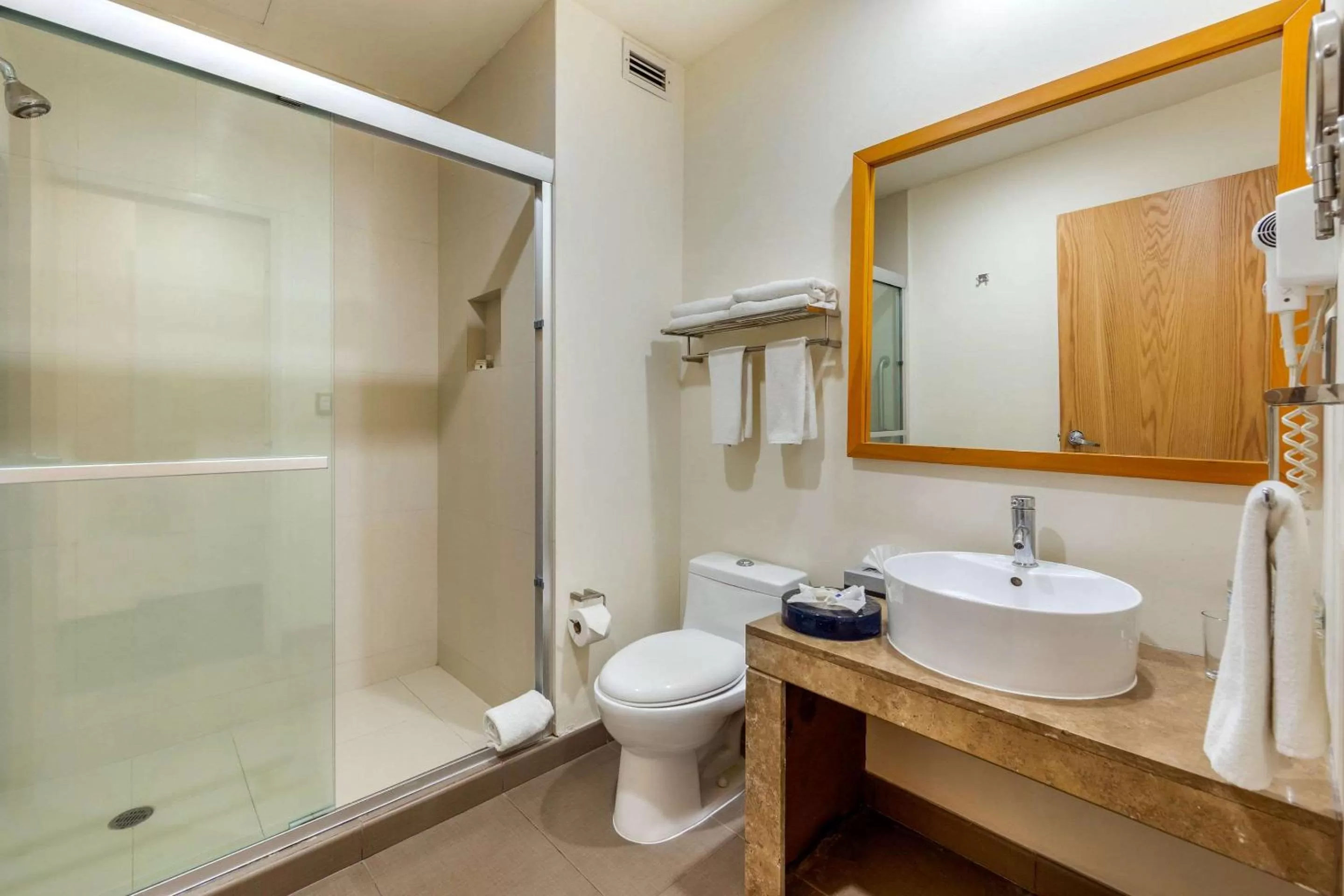 Bathroom in Greenwood Hotel Torreón