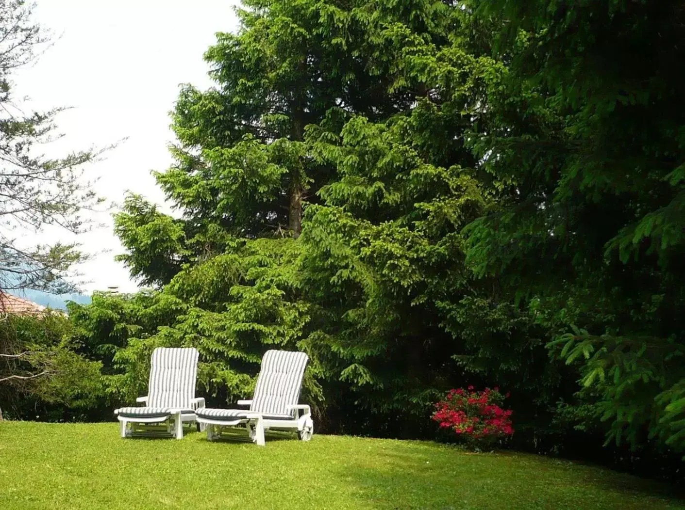 Garden view, Garden in B&B Villa Liz Varese