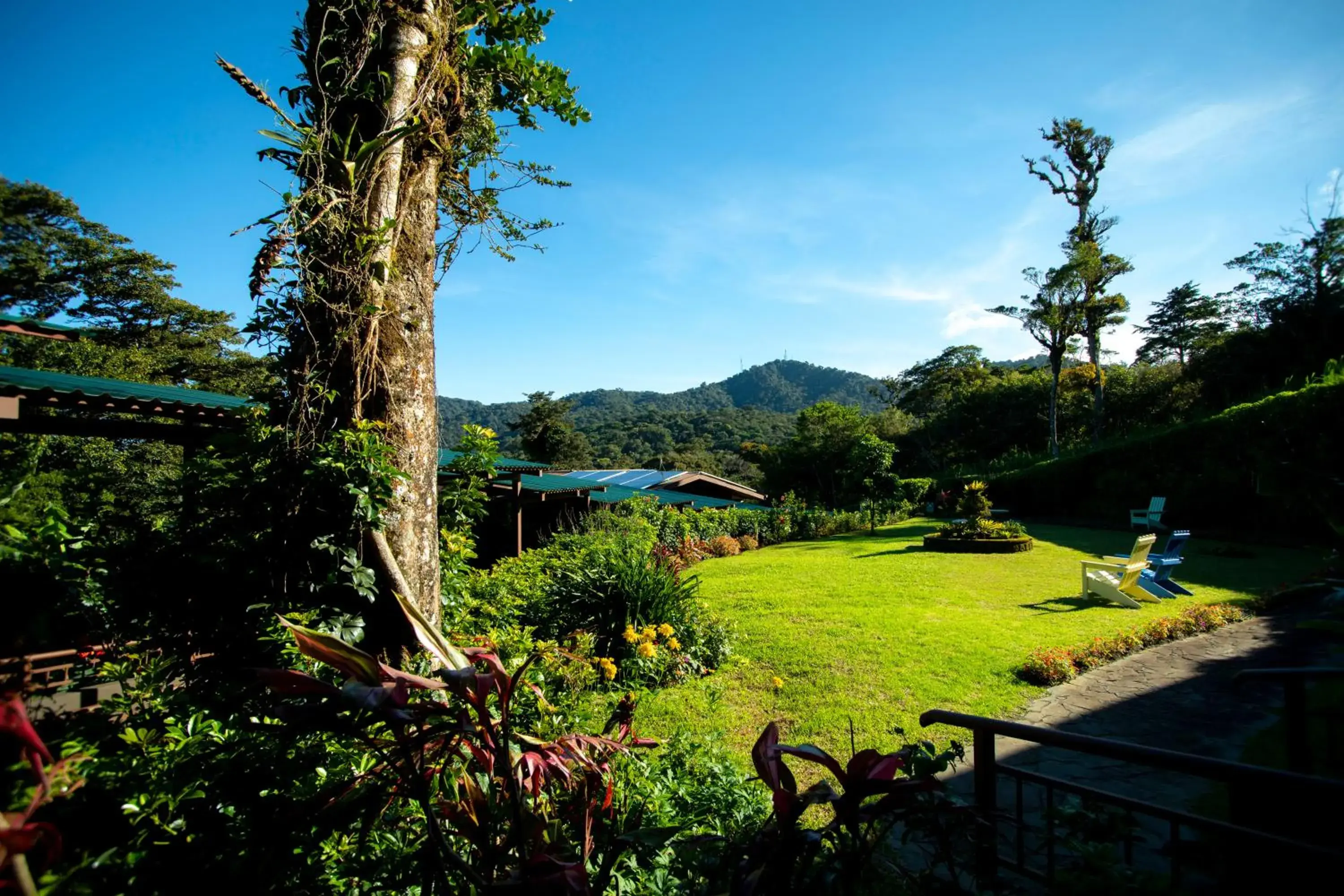 Garden view in Trapp Family Lodge Monteverde