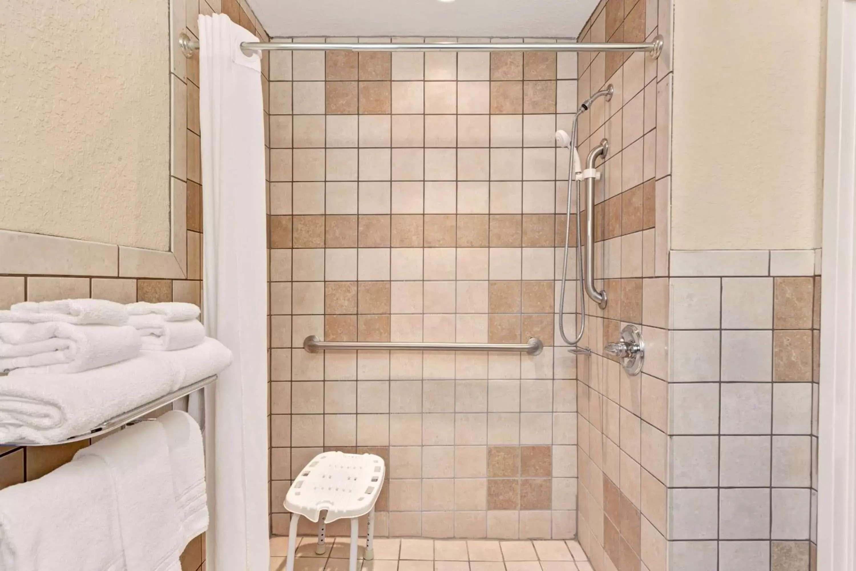 Bathroom in Microtel Inn & Suites by Wyndham Jasper