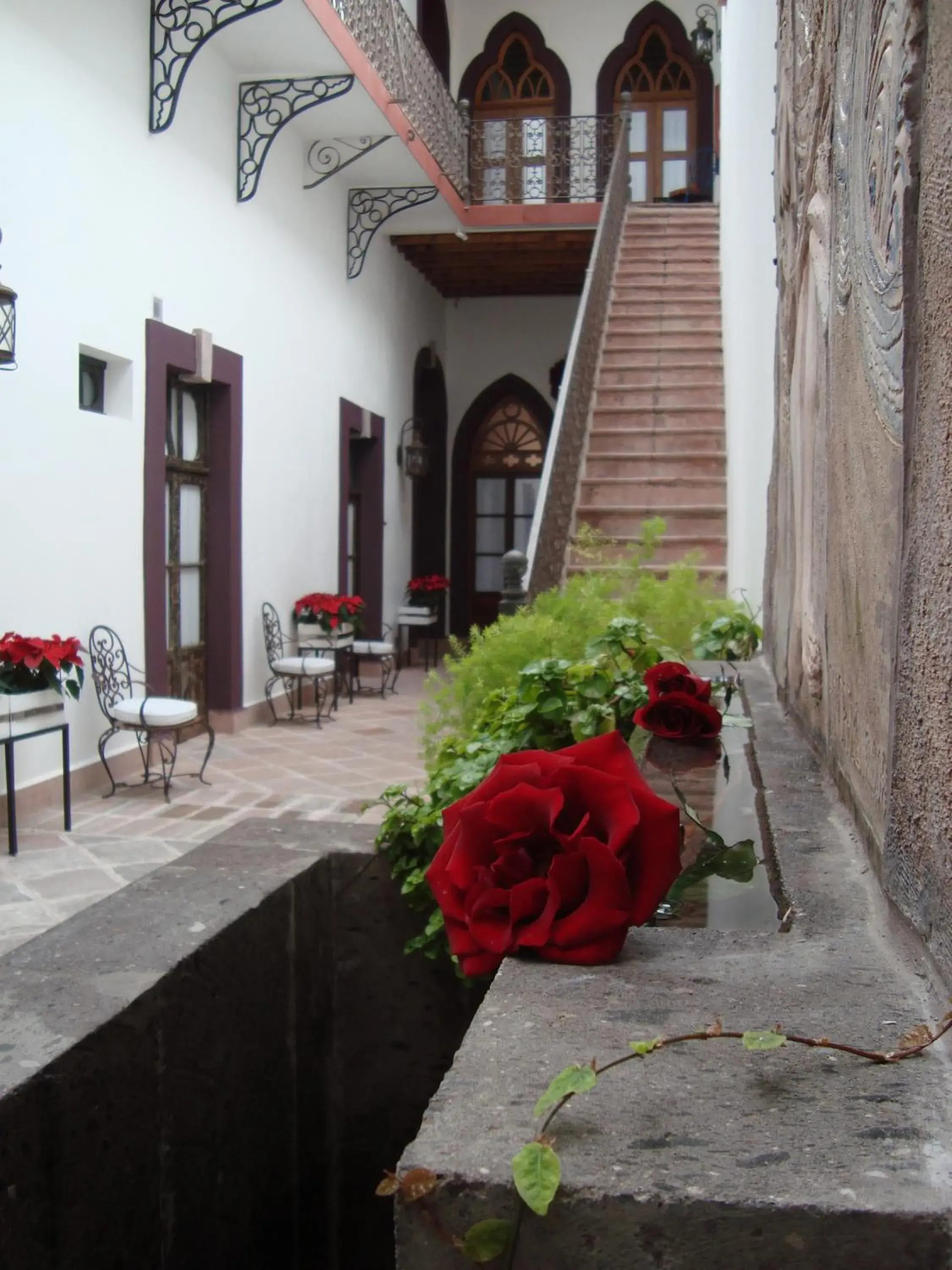 Patio in El Serafin Hotel Boutique